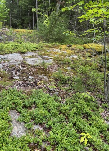 44A Trott Road Road, Woolwich, ME, 04579