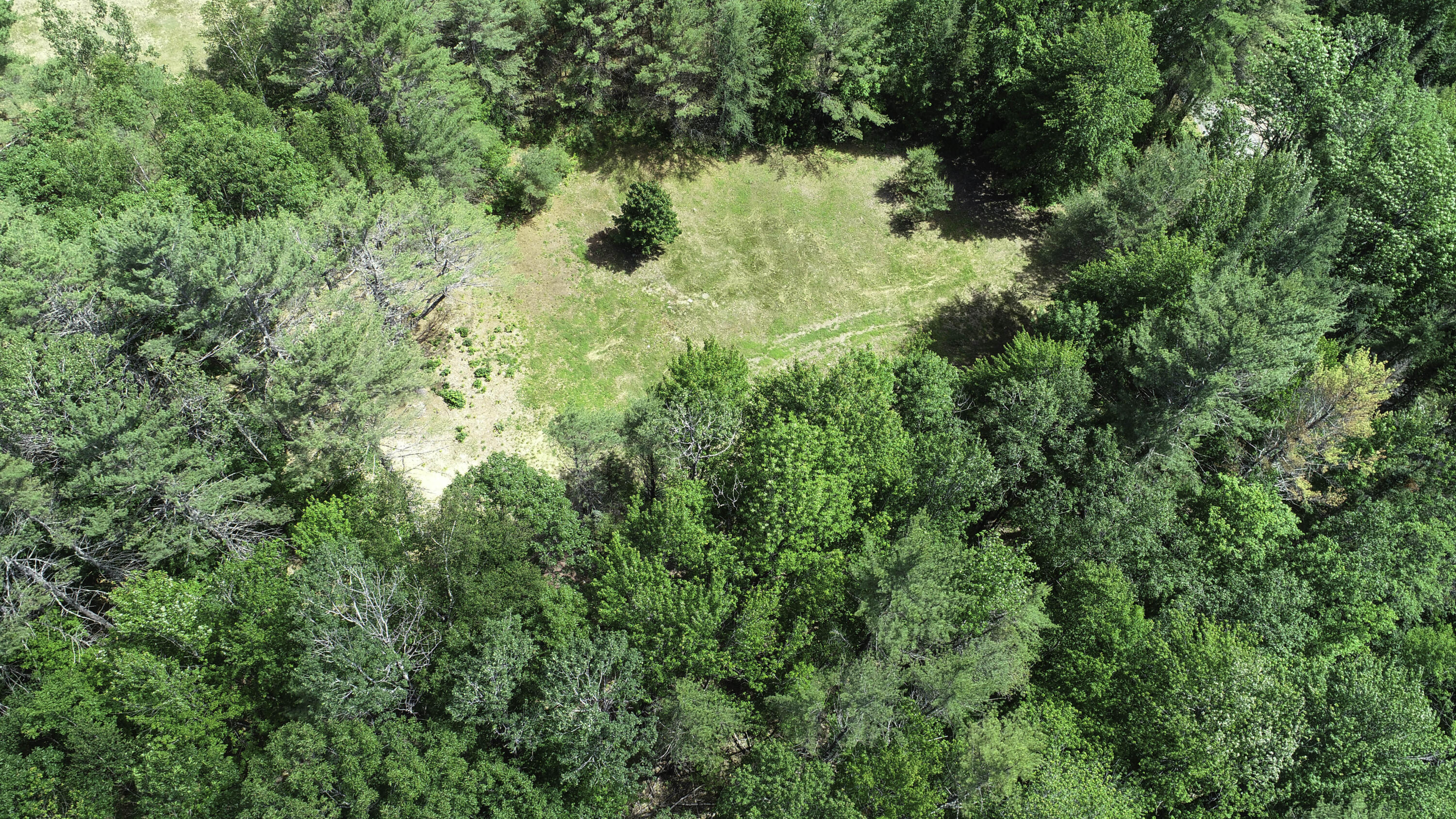 64 Bird Hill Road, Woodstock, ME, 04217