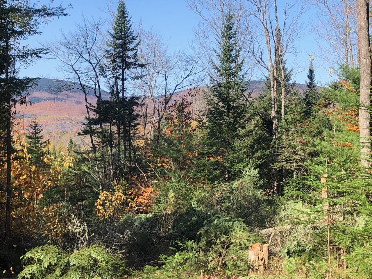 923 Center Hill Road, Weld, ME, 04285