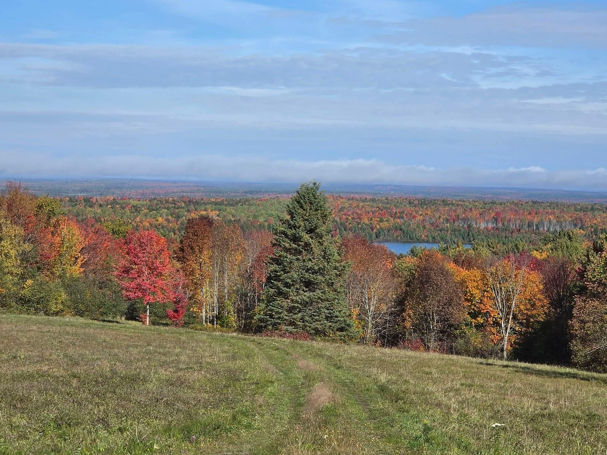 Photo of 226 Harris Hill Road Weston ME 04424