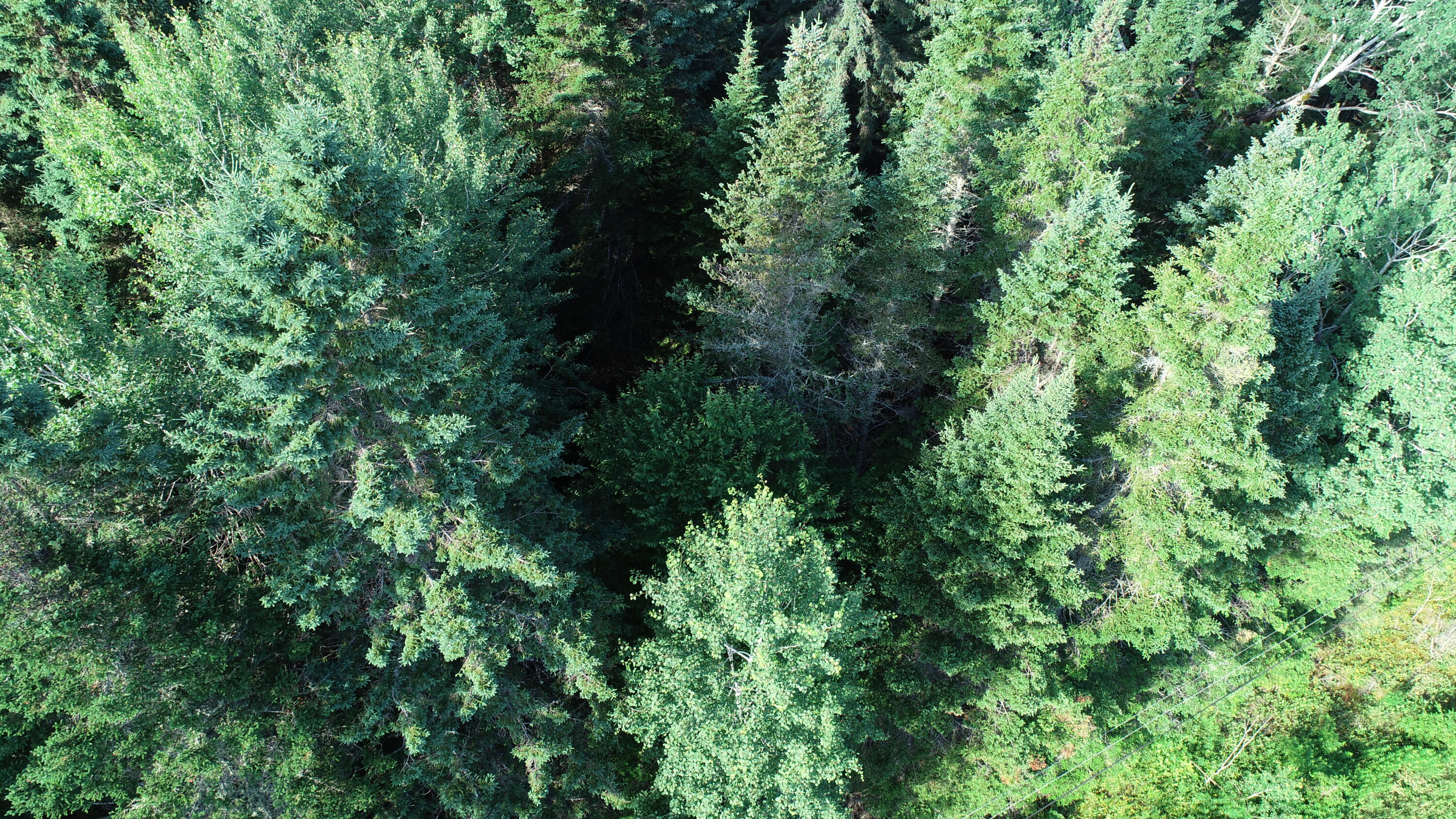 Lot 27 Brewer Road, Cary Plt, ME, 04471