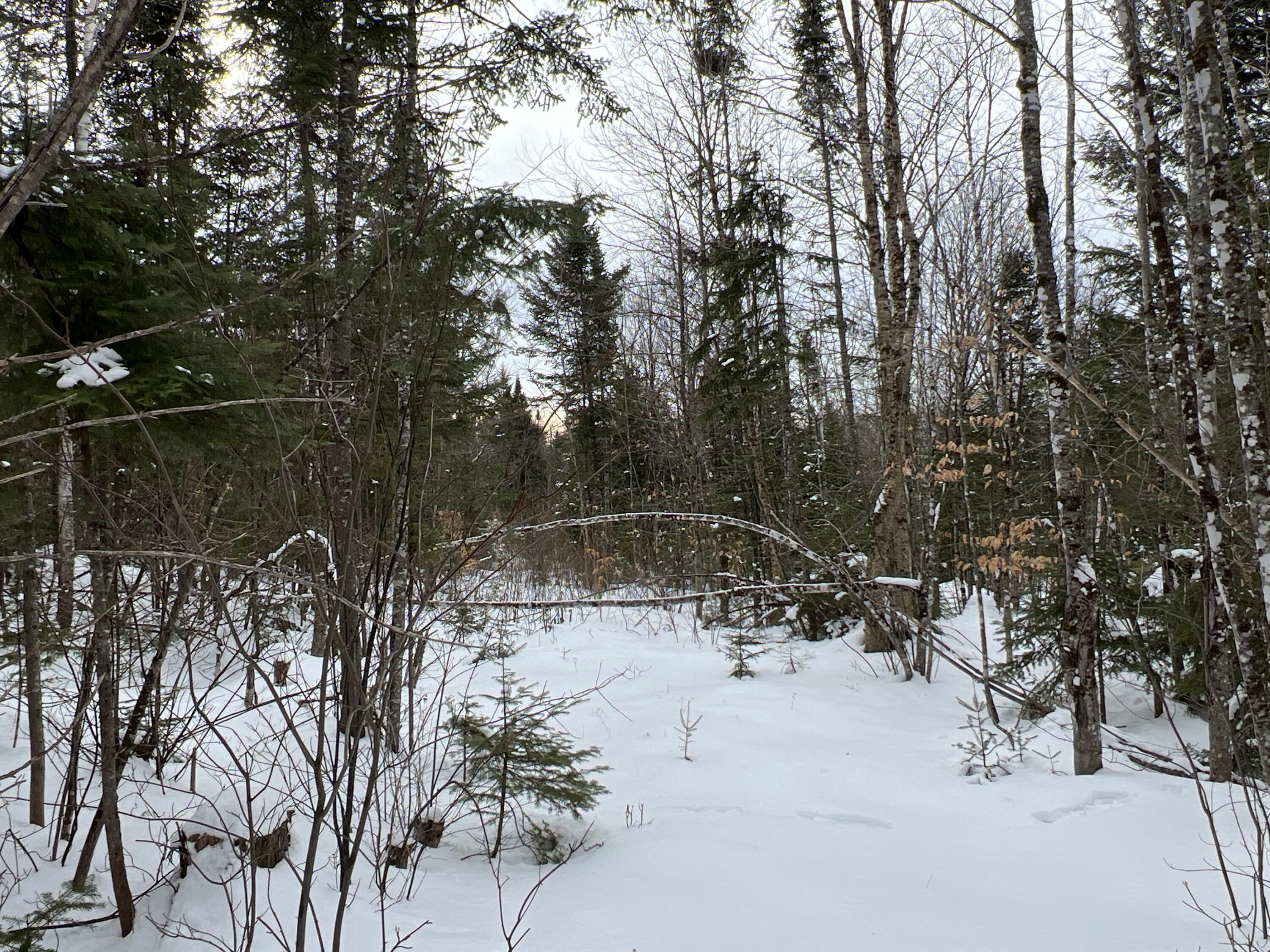 Lot 2-18 Shin Pond Road, Mount Chase, ME, 04765