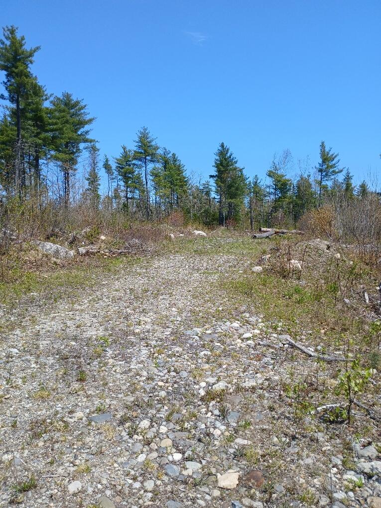 Search Homes for Sale