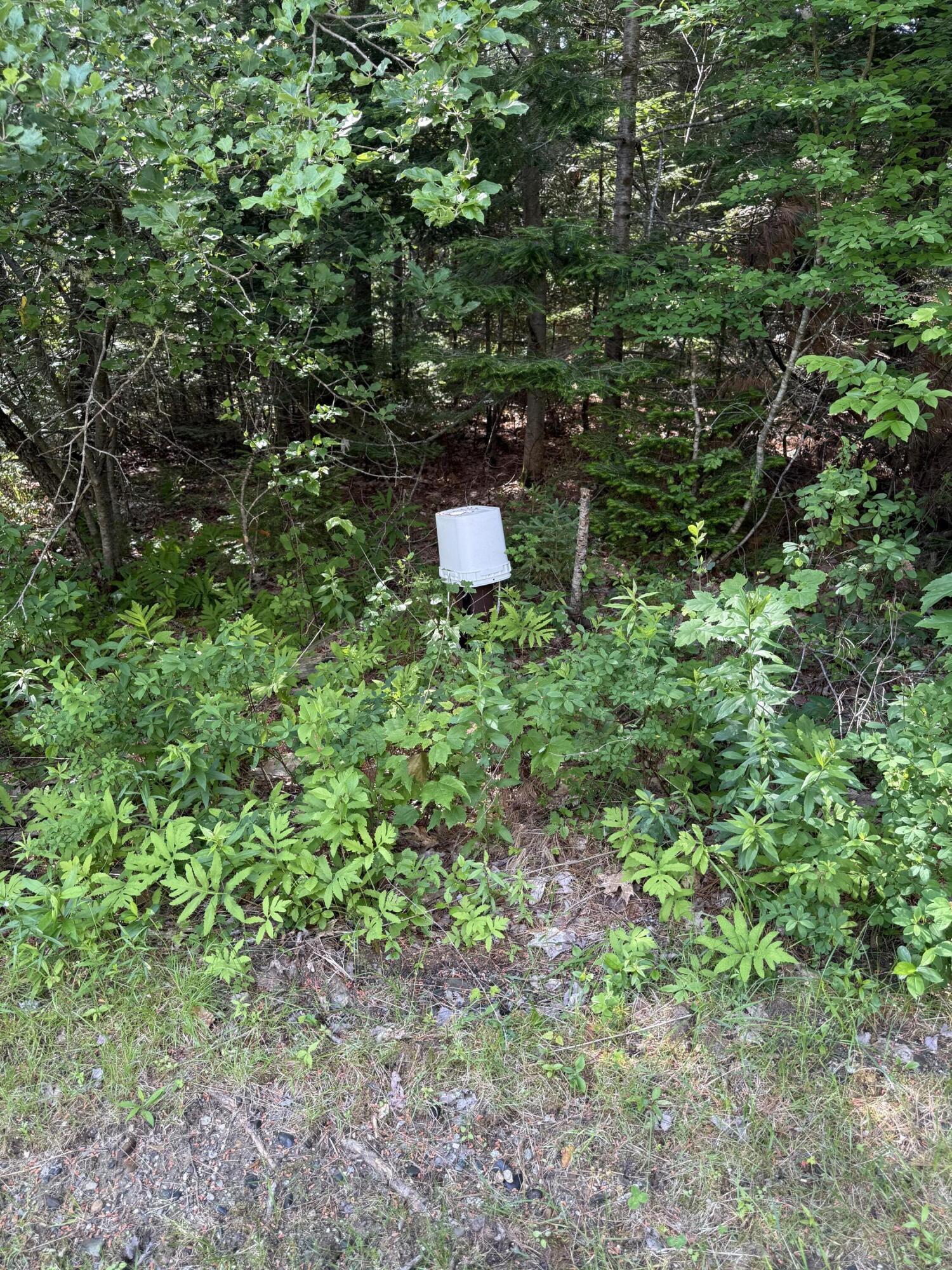 364 Goose Cove Road, Trenton, ME 04605 Well head