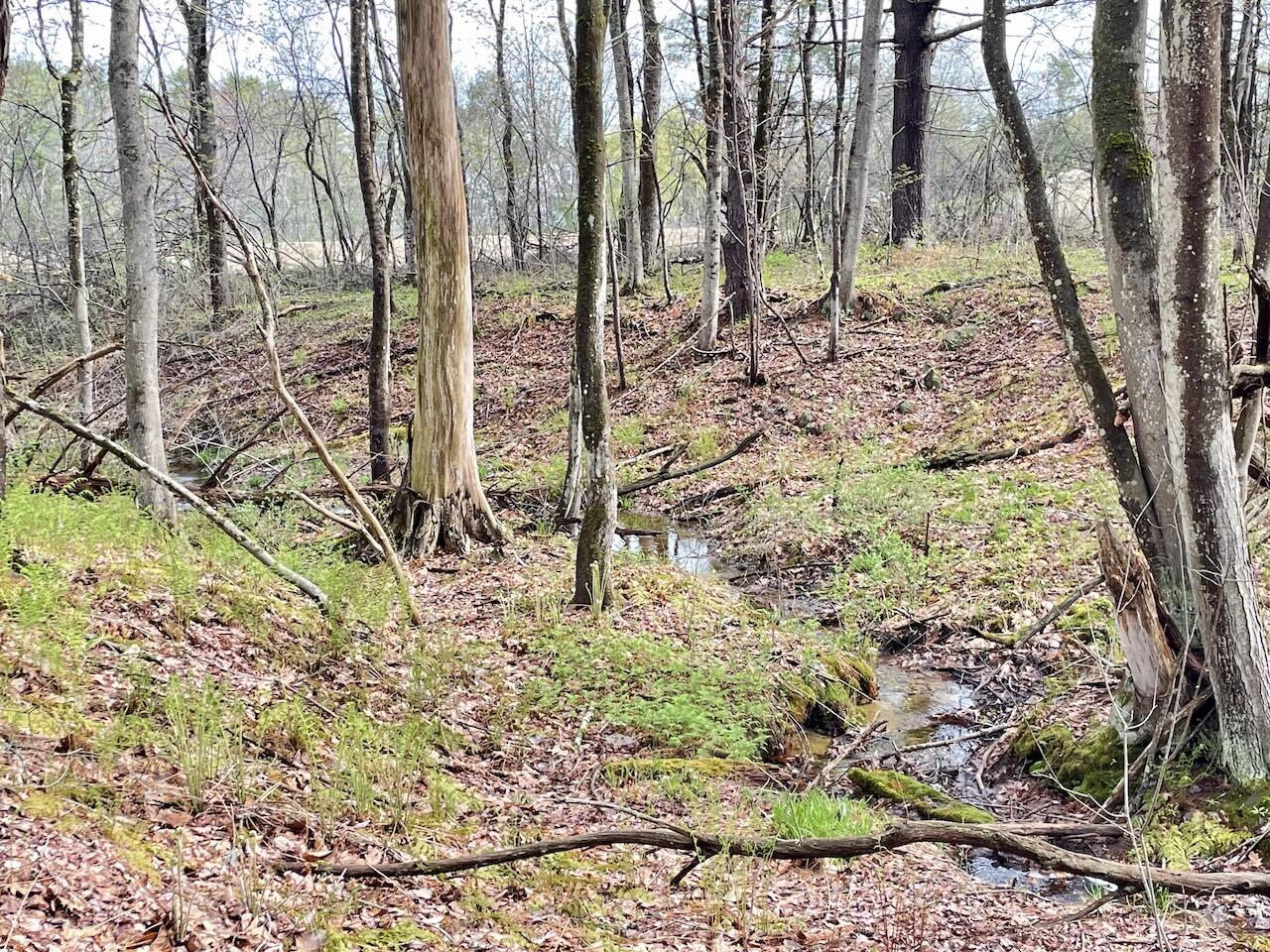 11 Coastal Pines Lot 5, Cumberland, ME, 04021