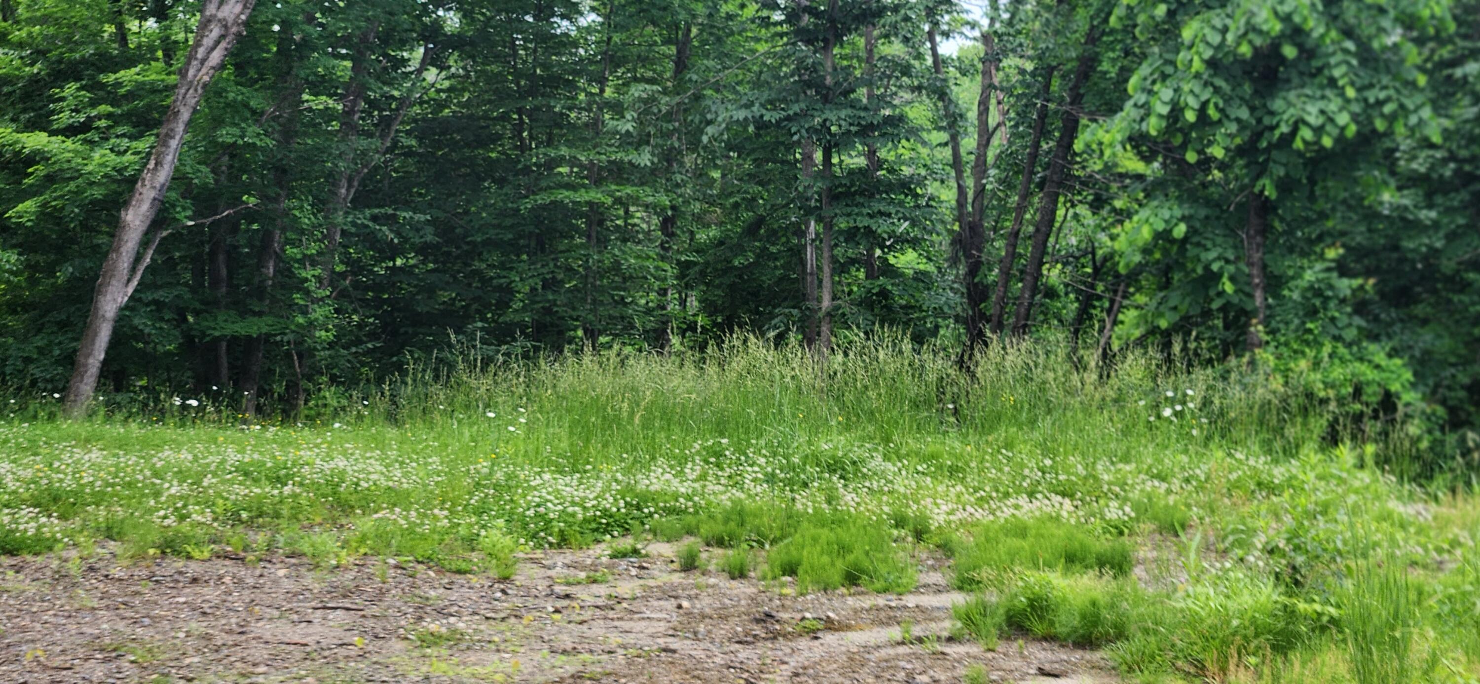 004 Titcomb Hill Road, Farmington, ME, 04938