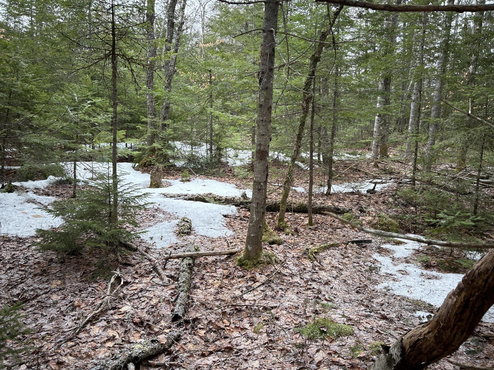 WA31P01L21 Kings Street, Dennysville, ME, 04628