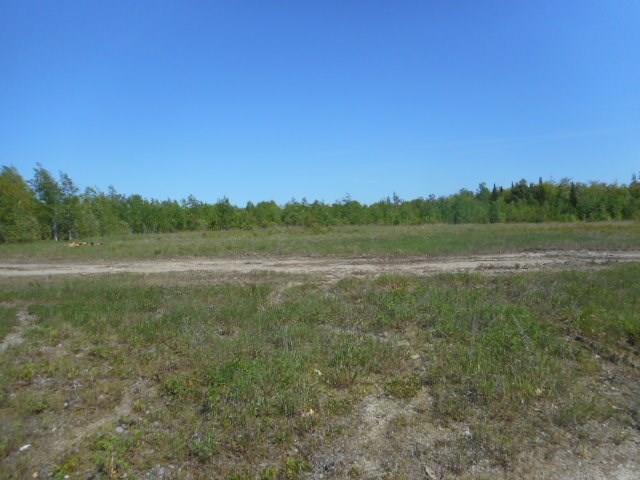 Search Homes for Sale