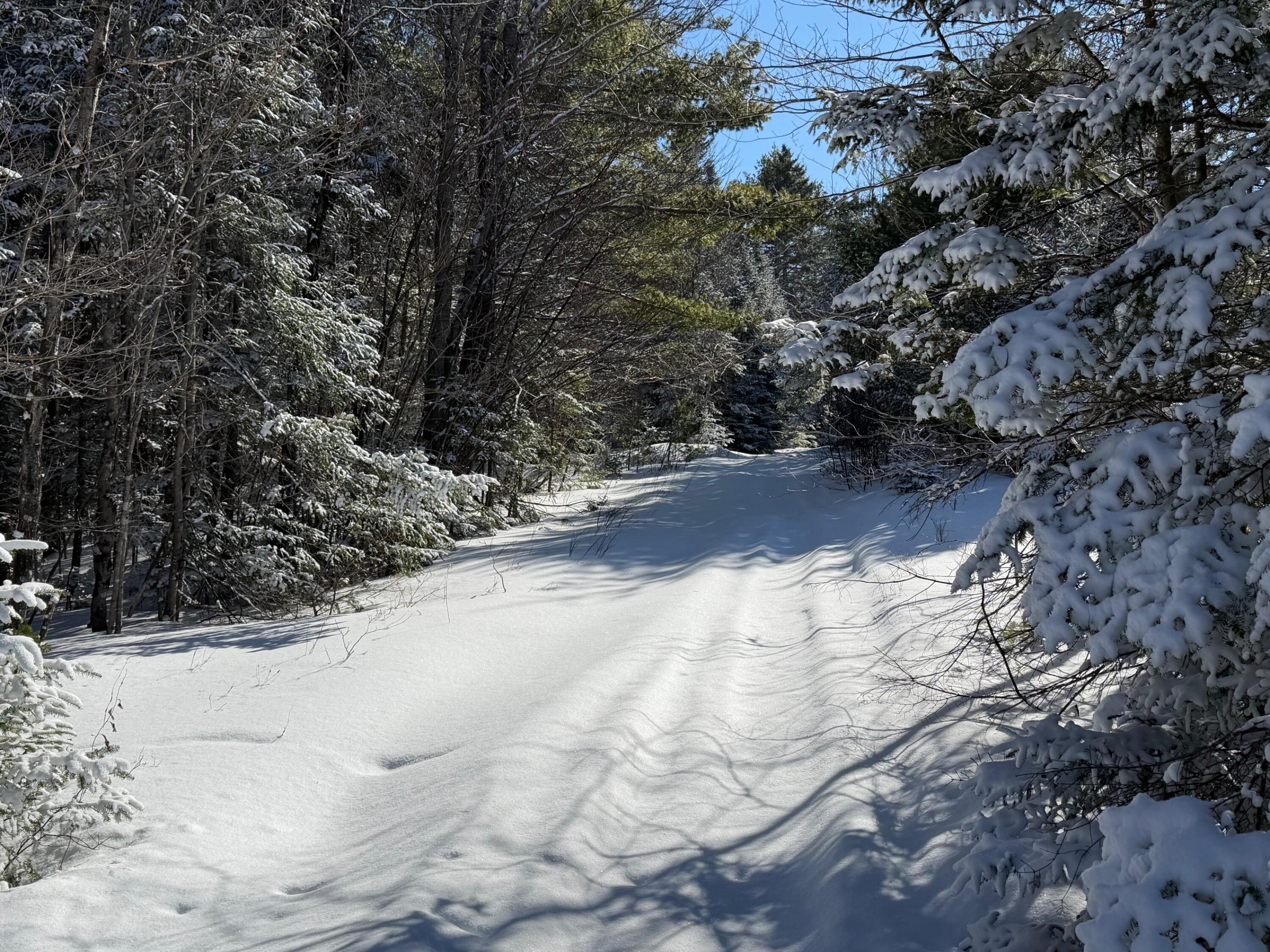 M5 Lot 1&3 East Road, Greenville, ME, 04441