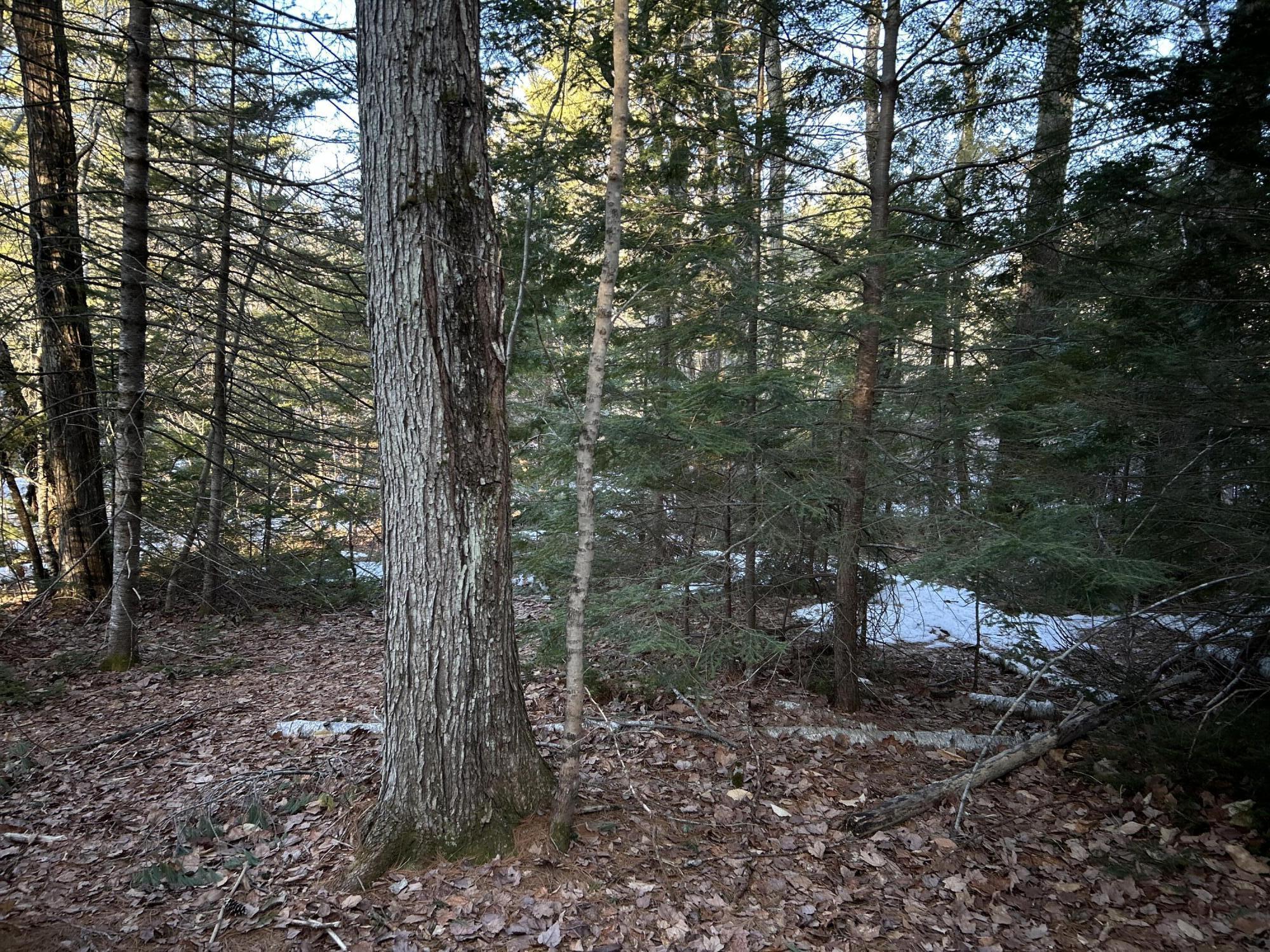 Map13Lot11 Field View Road, Fryeburg, ME, 04037