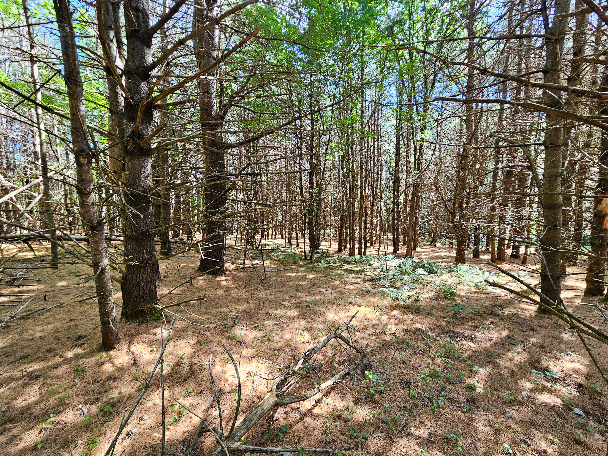 11-31-C Stone Hill Road, Farmington, ME, 04938