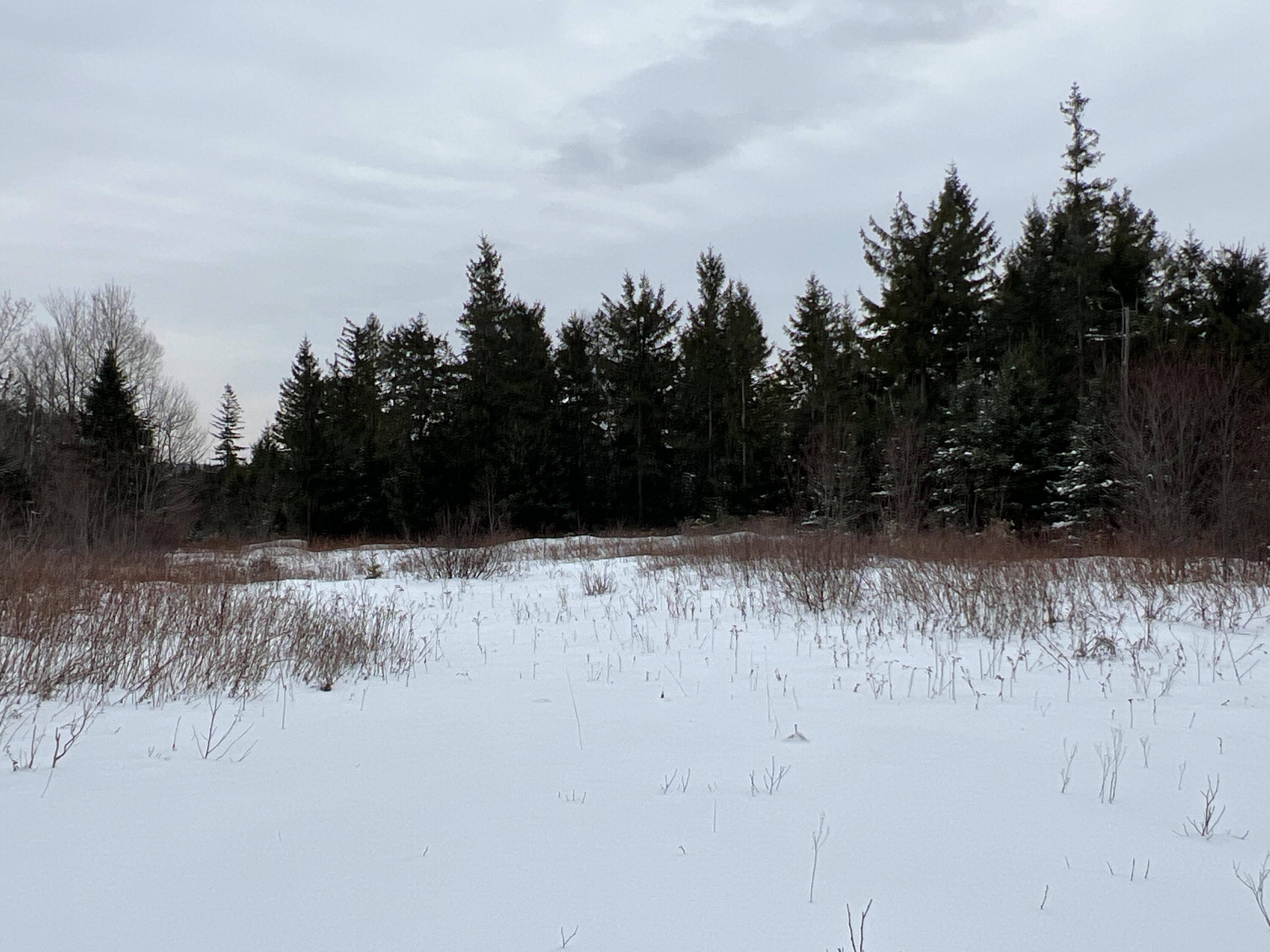 Lot 2-18 Shin Pond Road, Mount Chase, ME, 04765