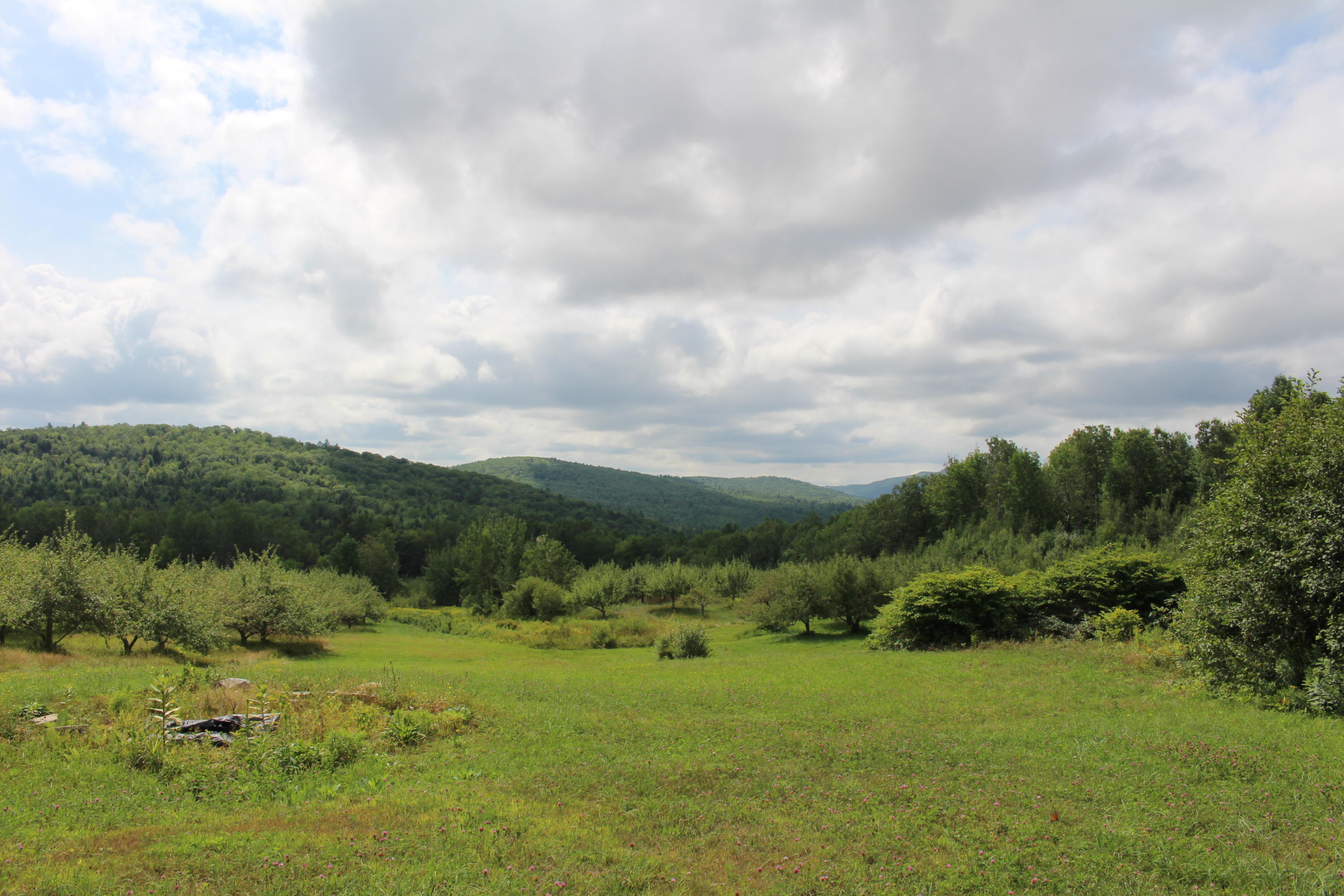684 Grover Hill Road, Bethel, ME, 04217
