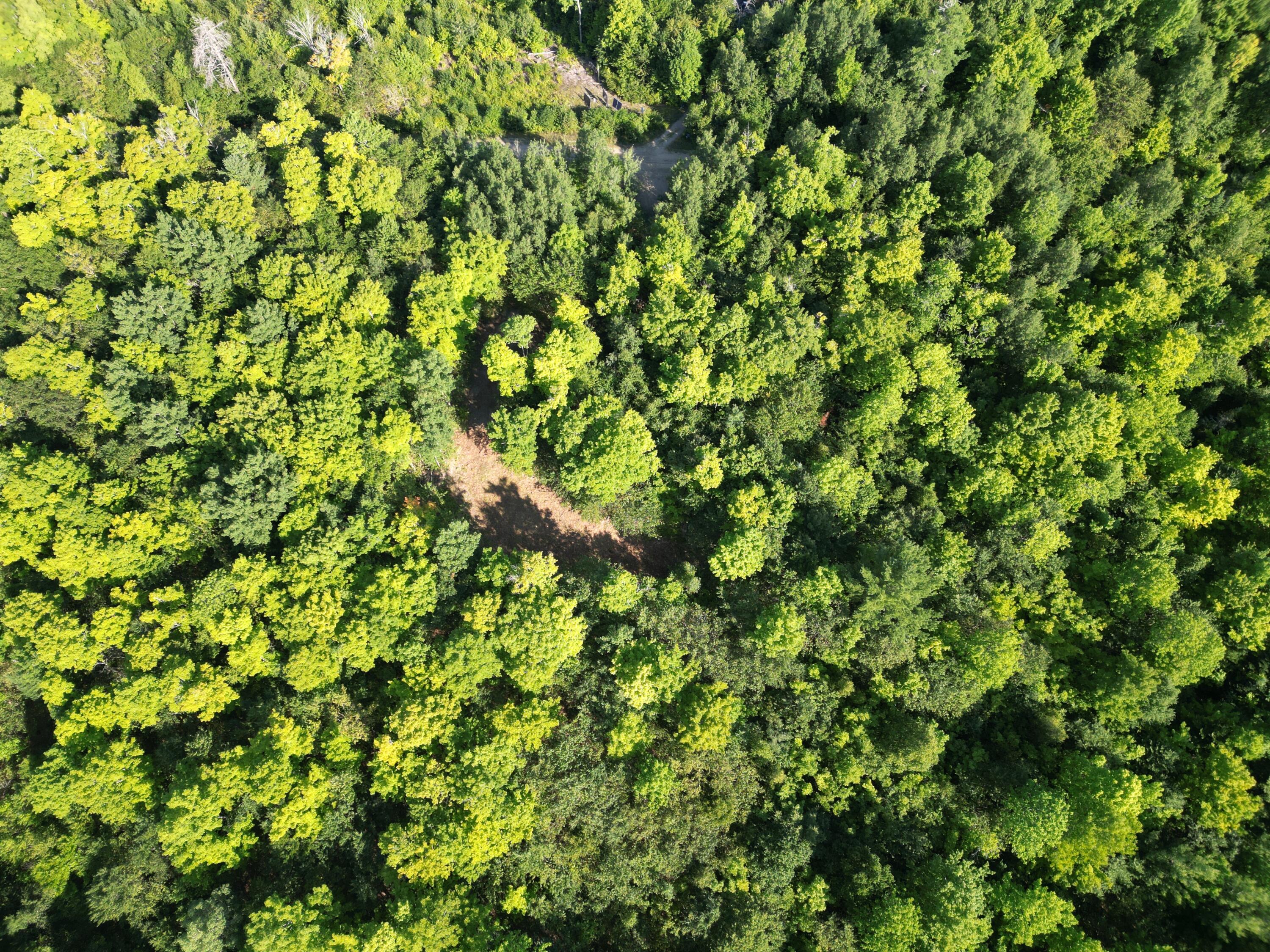 29 Spaulding Lane, Lee, ME 04455 DJI_0979