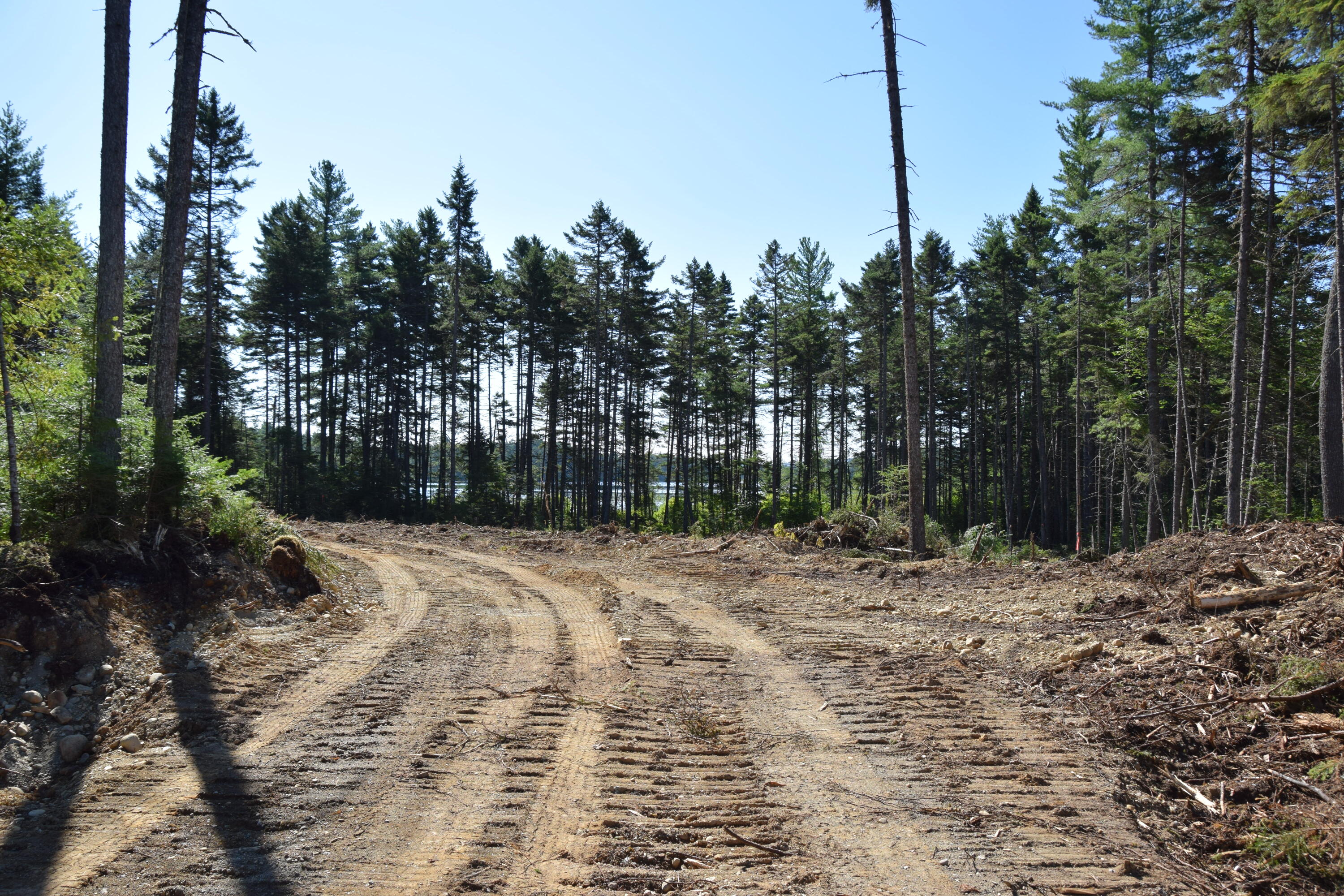 Photo of MS03l17.3 Middle Carry Pond Road Carrying Place Twp ME 04961
