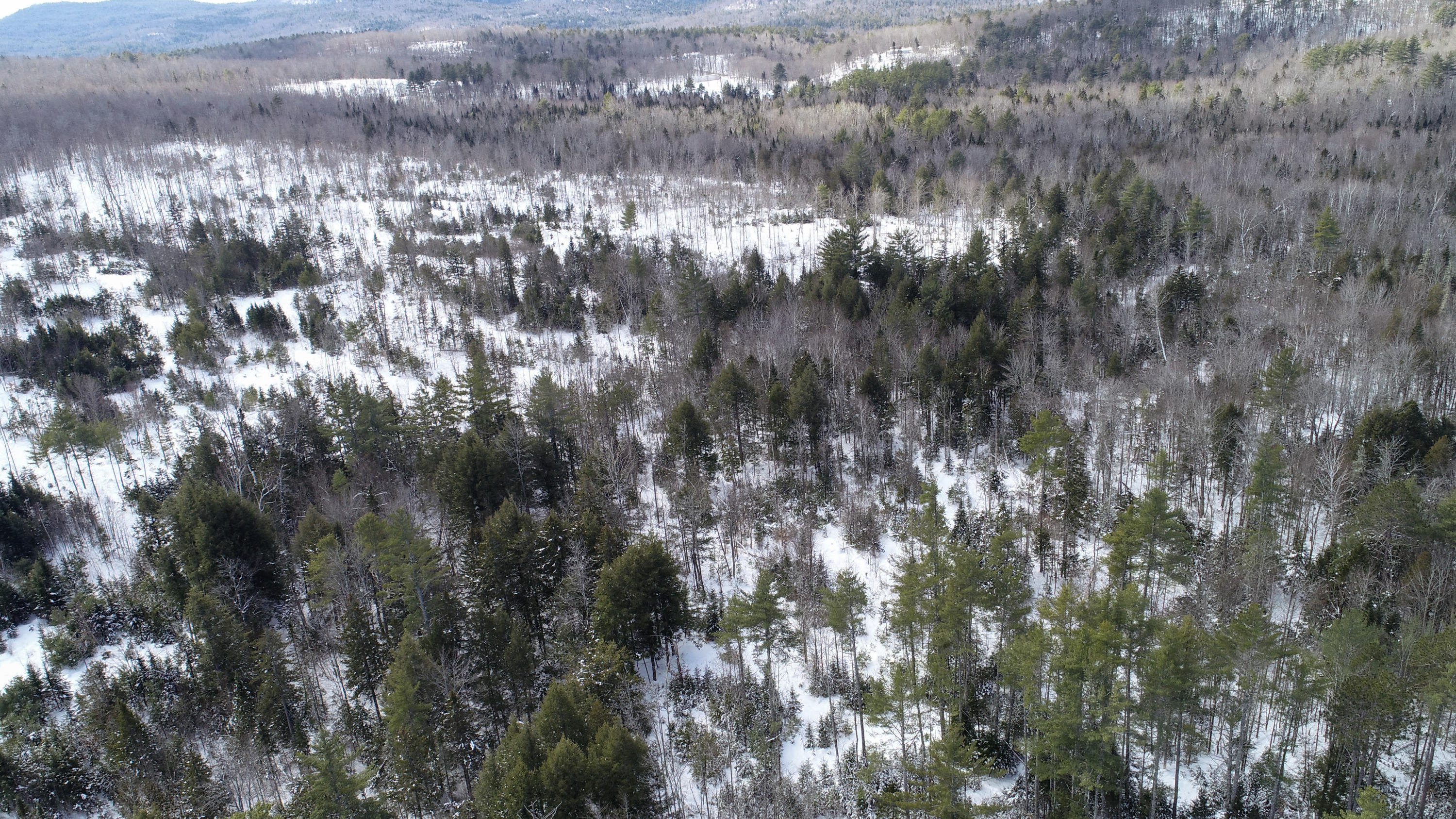 Tbd Black Brook Road, Woodstock, ME, 04219