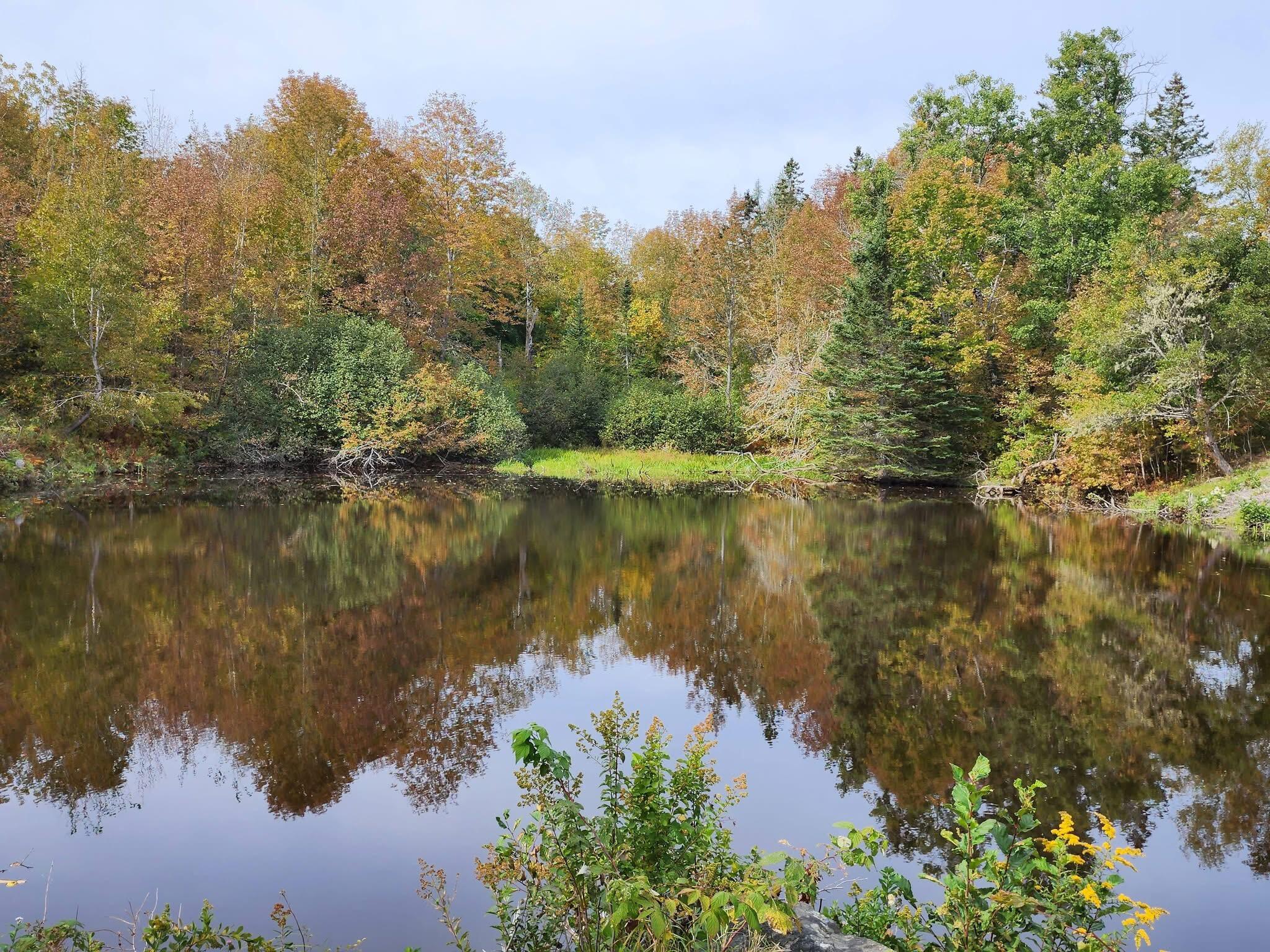 Lot 52 US- Route 1, Robbinston, ME, 04668