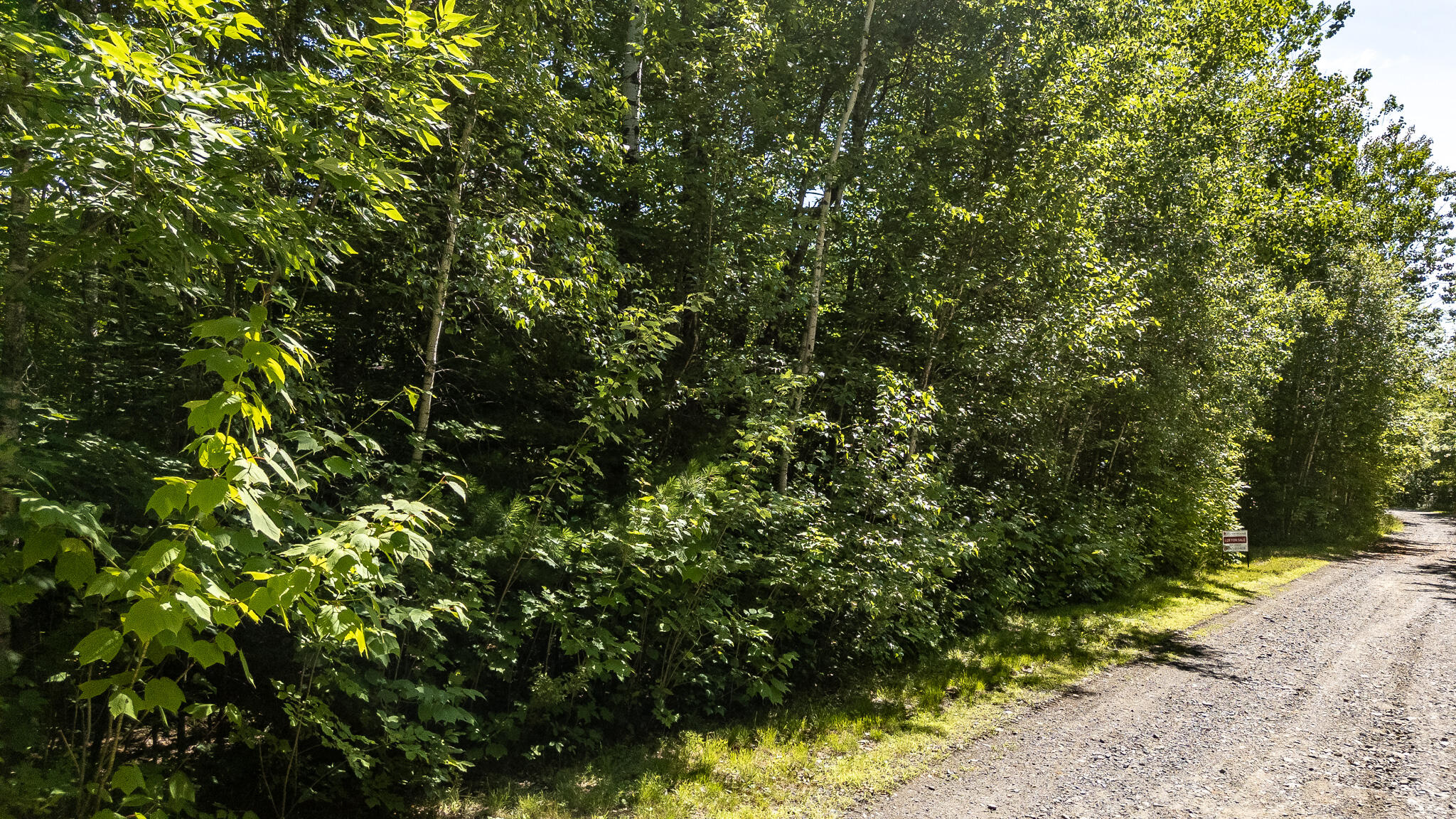 Lot 18-5 Woodland Lane, #Map 2, Brownville, ME 04414 DJI_20260720102538_0124_D