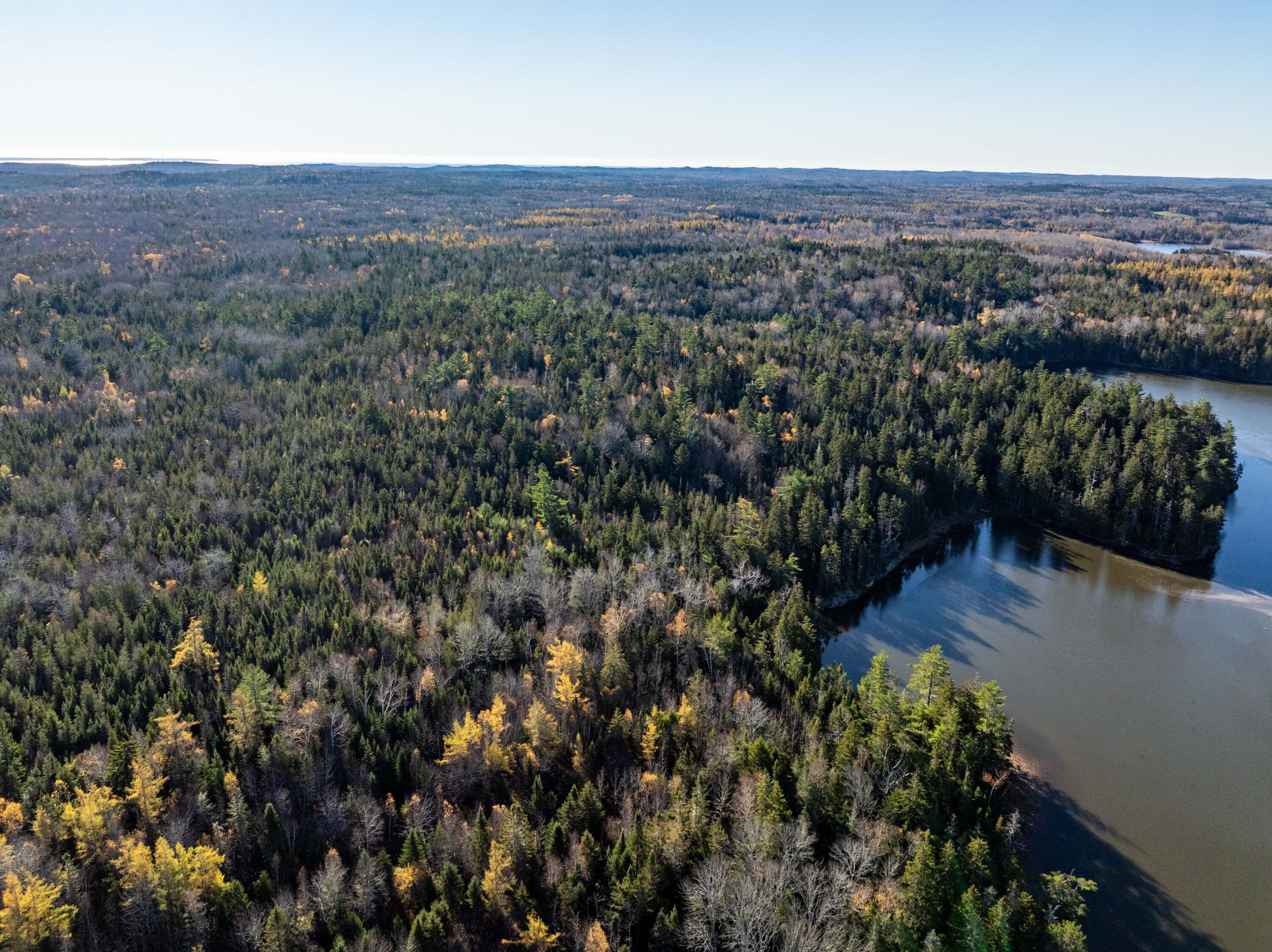 01-4 WA035, Trescott Twp, ME, 04652