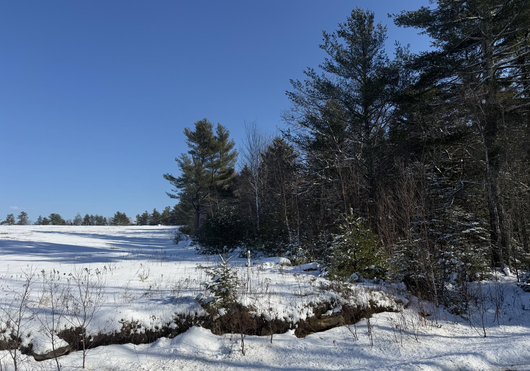 MR2-L122-1 Pout Town Road, Stockton Springs, ME, 04981