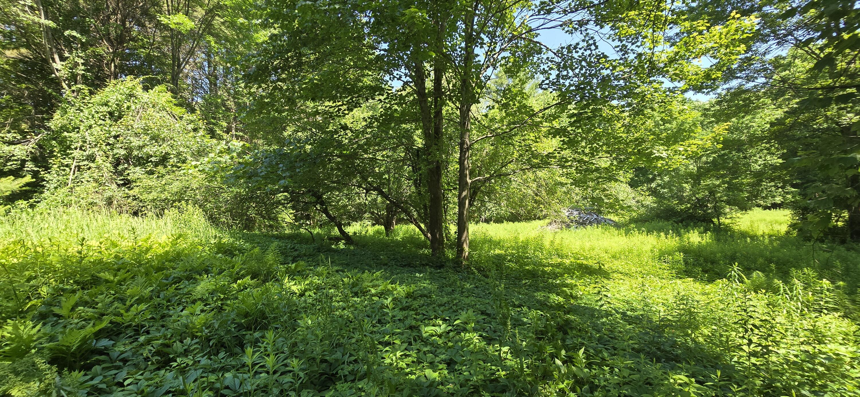 28 Davis Road, Vienna, ME, 04360
