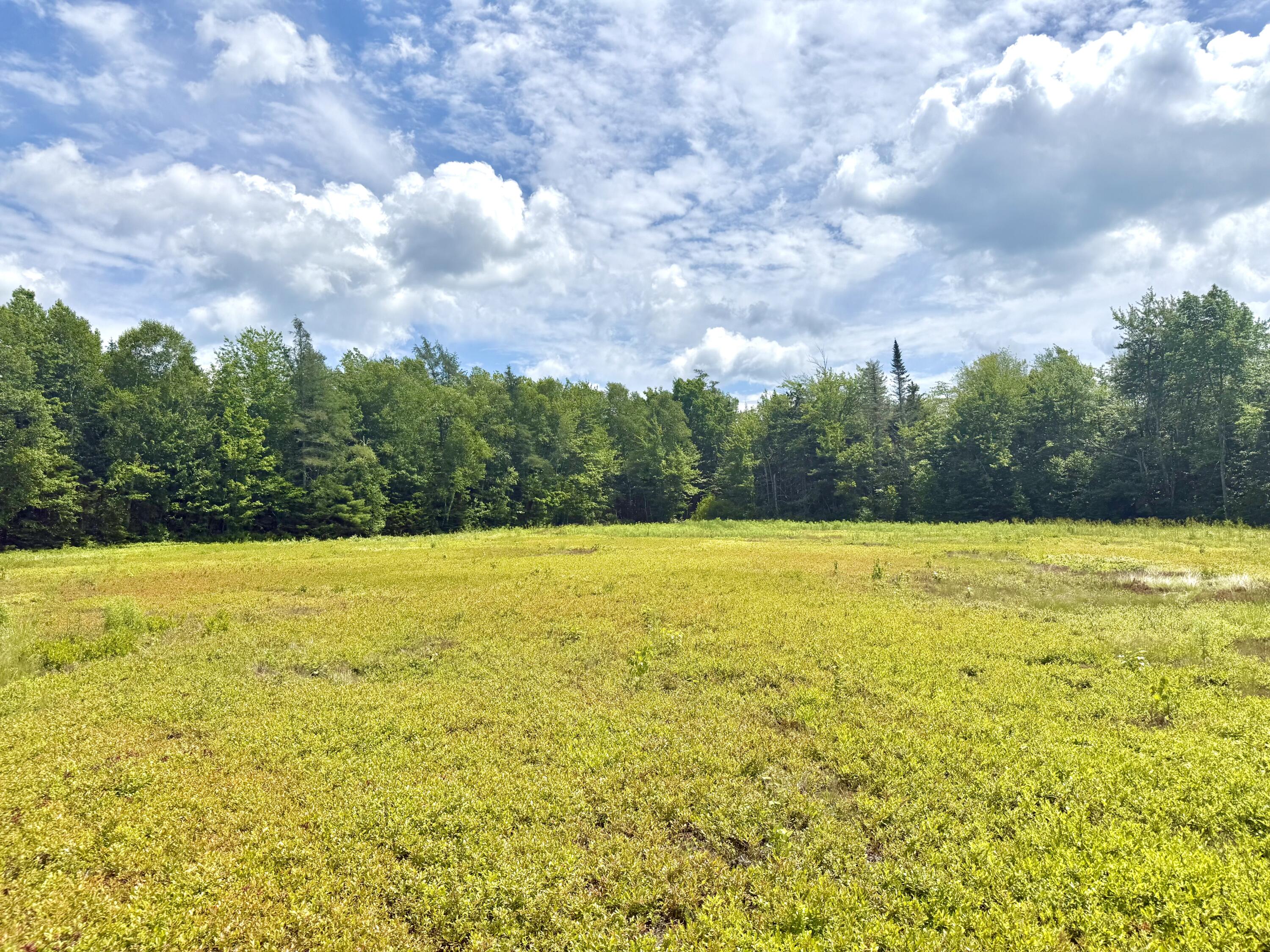 MAP13LOT9 Martins Ridge Road, Franklin, ME, 04634