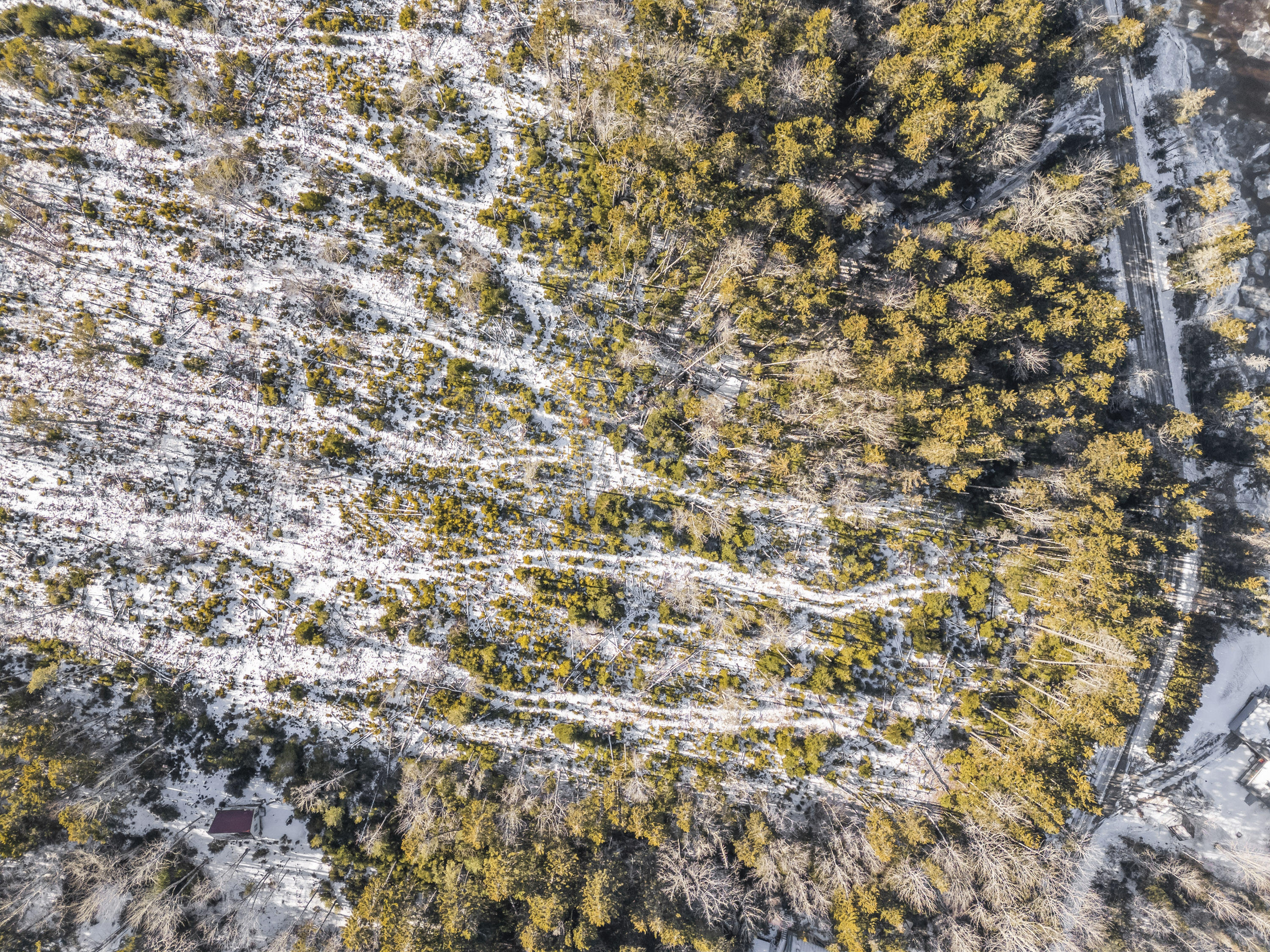 Lot 54B Harrington Cove Road, Saint George, ME, 04859