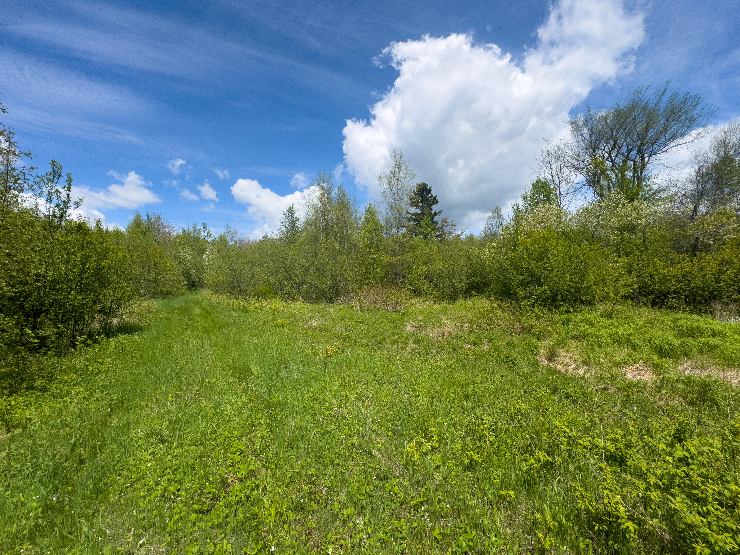 Lot 4 E Ridge Road, Cooper, ME 04657 RIDGE ROAD LOT 4-15