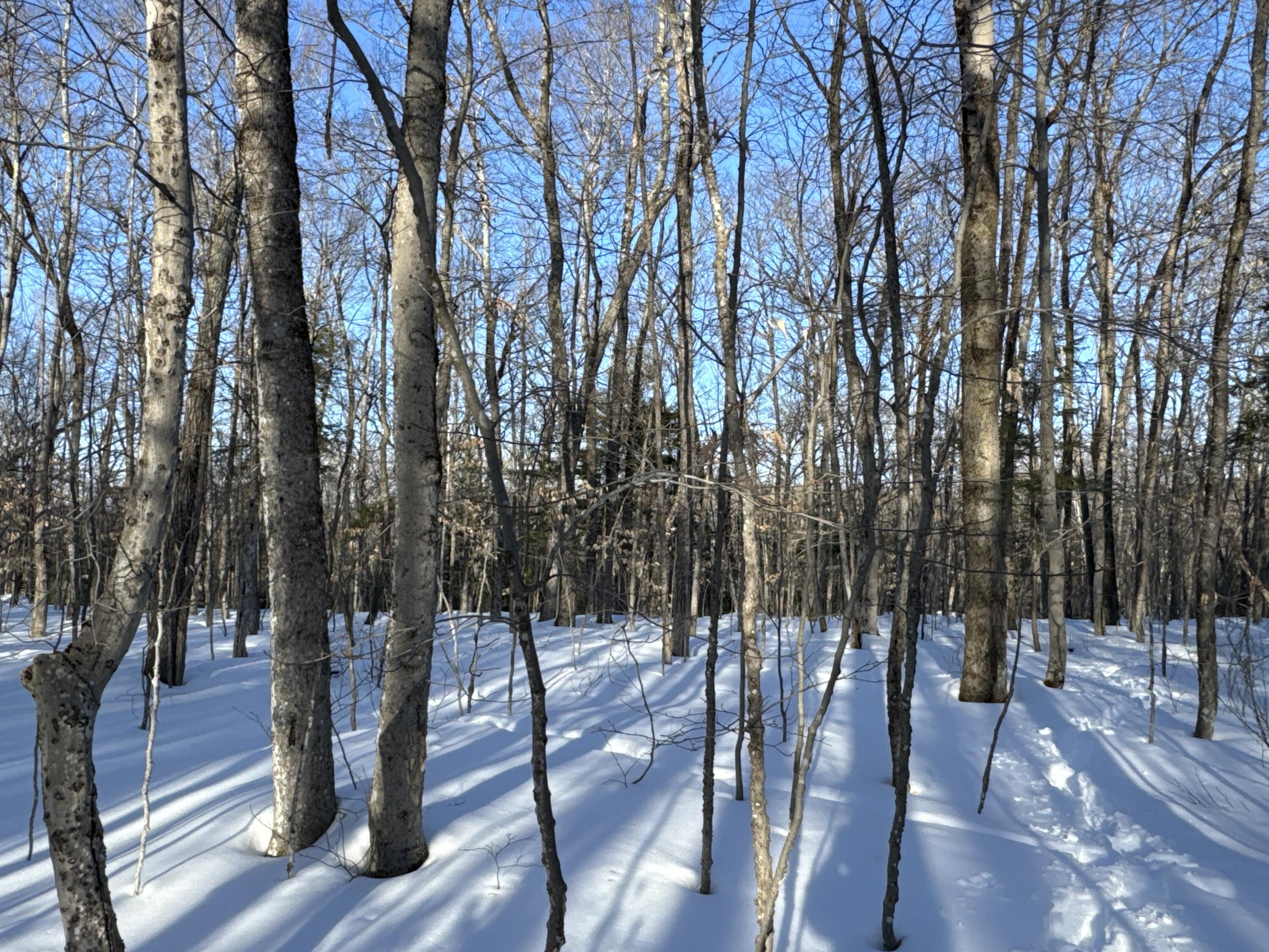 M10L44 Mountain View Road, Fryeburg, ME, 04037