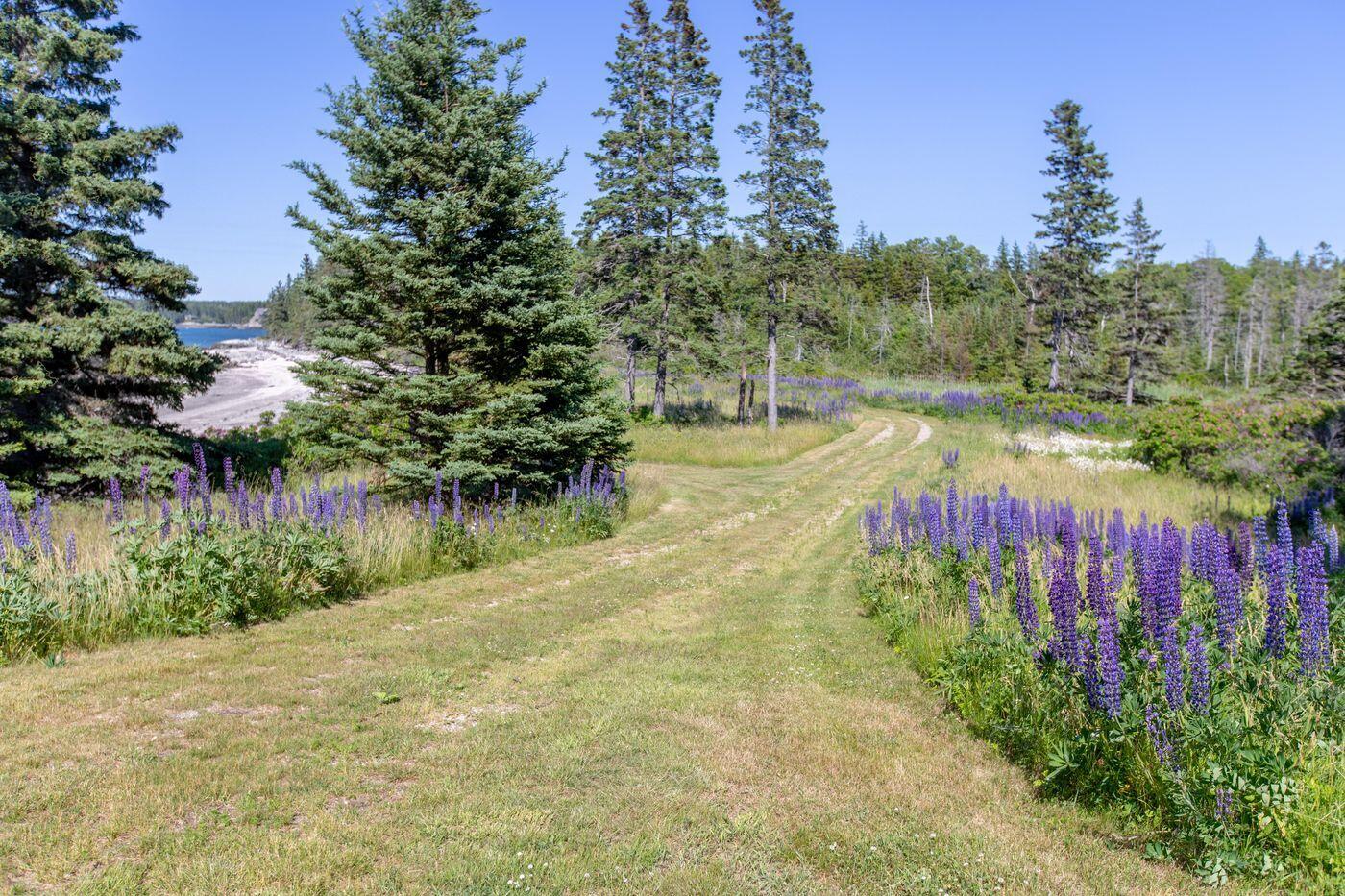 Lot 001 Sheephead Island, Deer Isle, ME, 04627