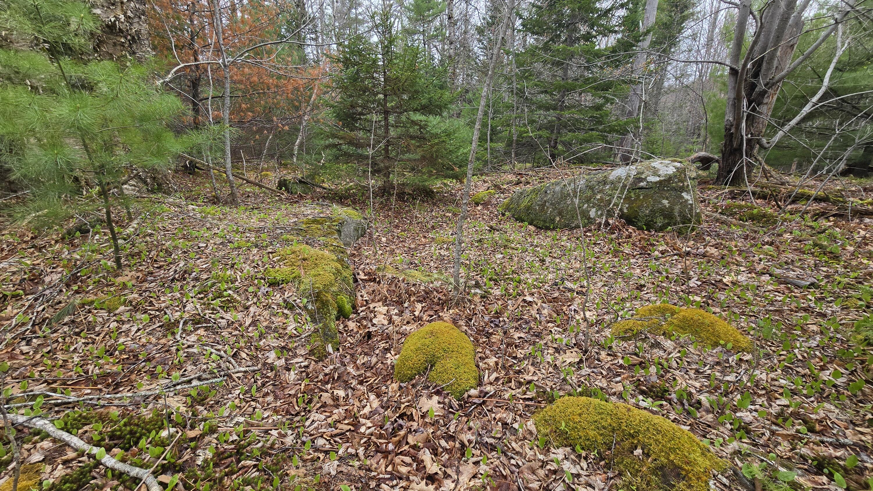Lot 58 Camden Road, Lincolnville, ME, 04849