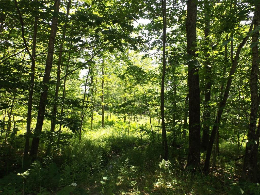 266 Molly Ockett Lane E, Woodstock, ME, 04219