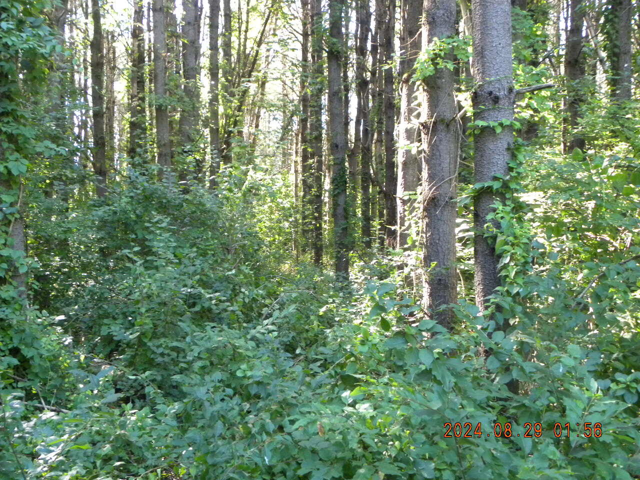 Lot A Bernier Road, Sanford, ME, 04073