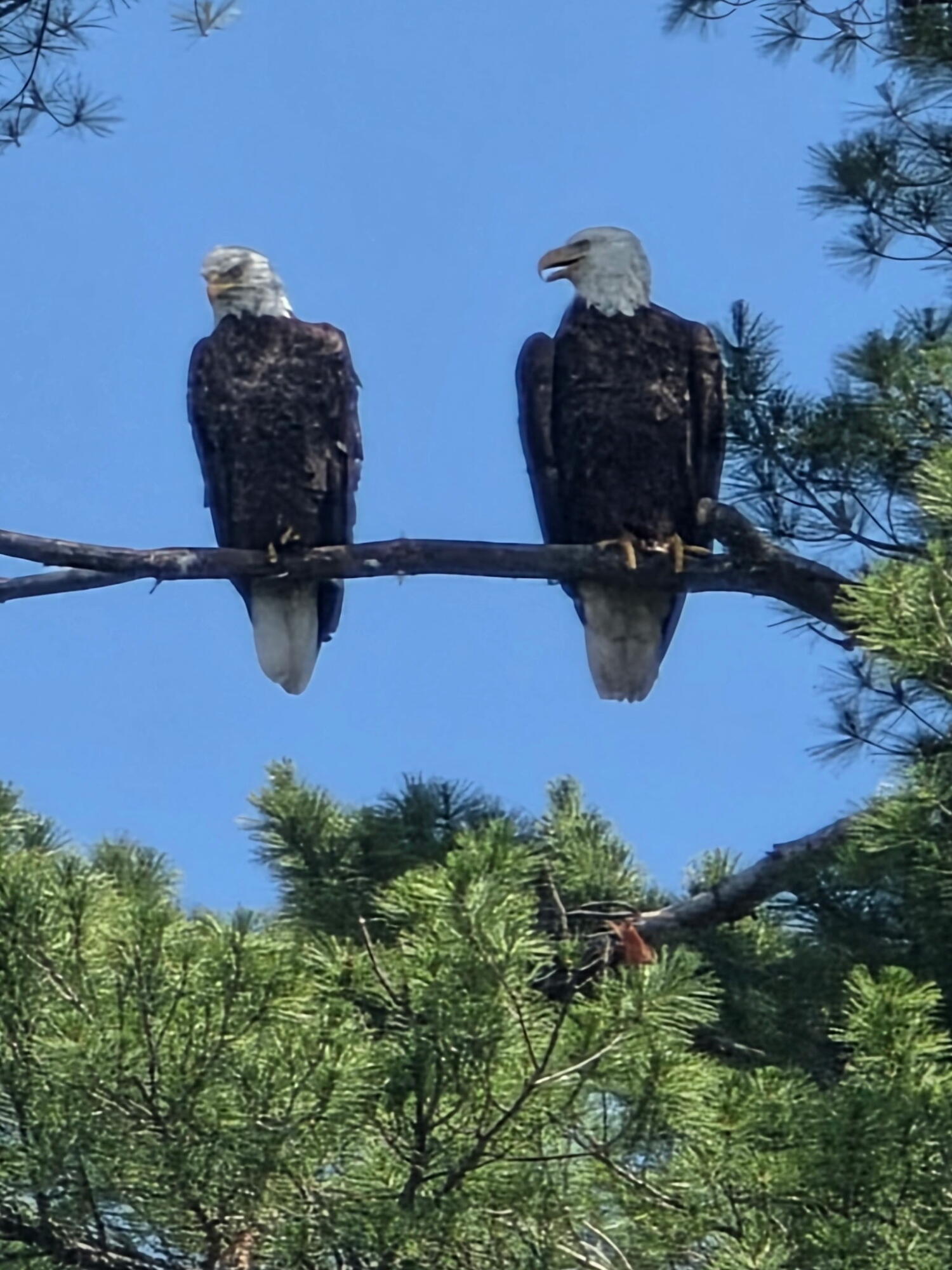 426 Martin Road, Sinclair, ME, 04779