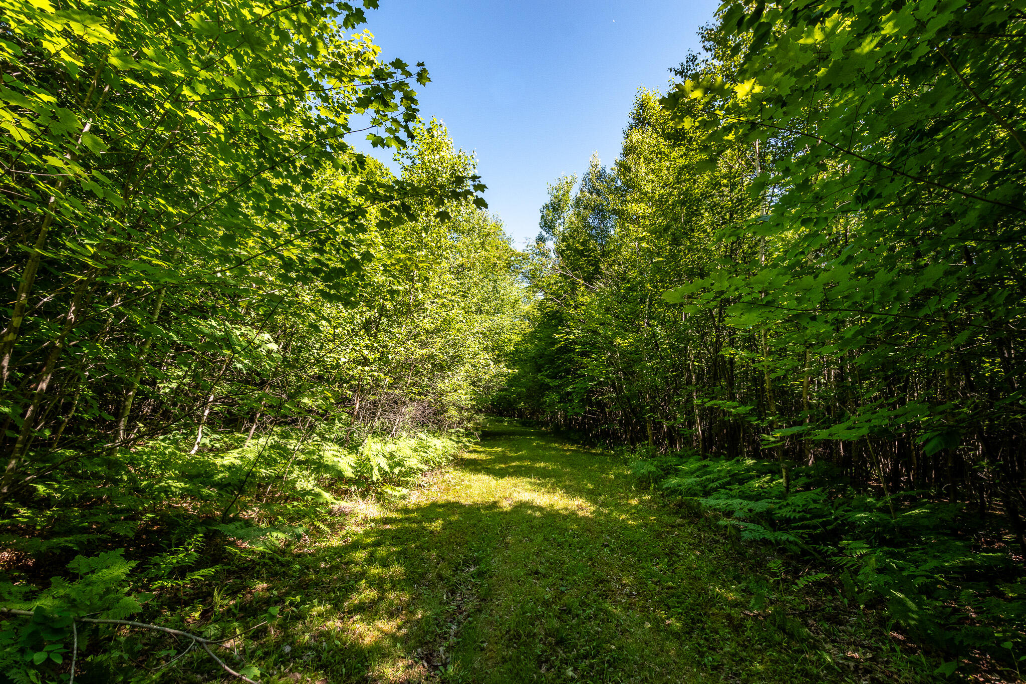 Lot 18-5 Woodland Lane, #Map 2, Brownville, ME 04414 DSC_0275