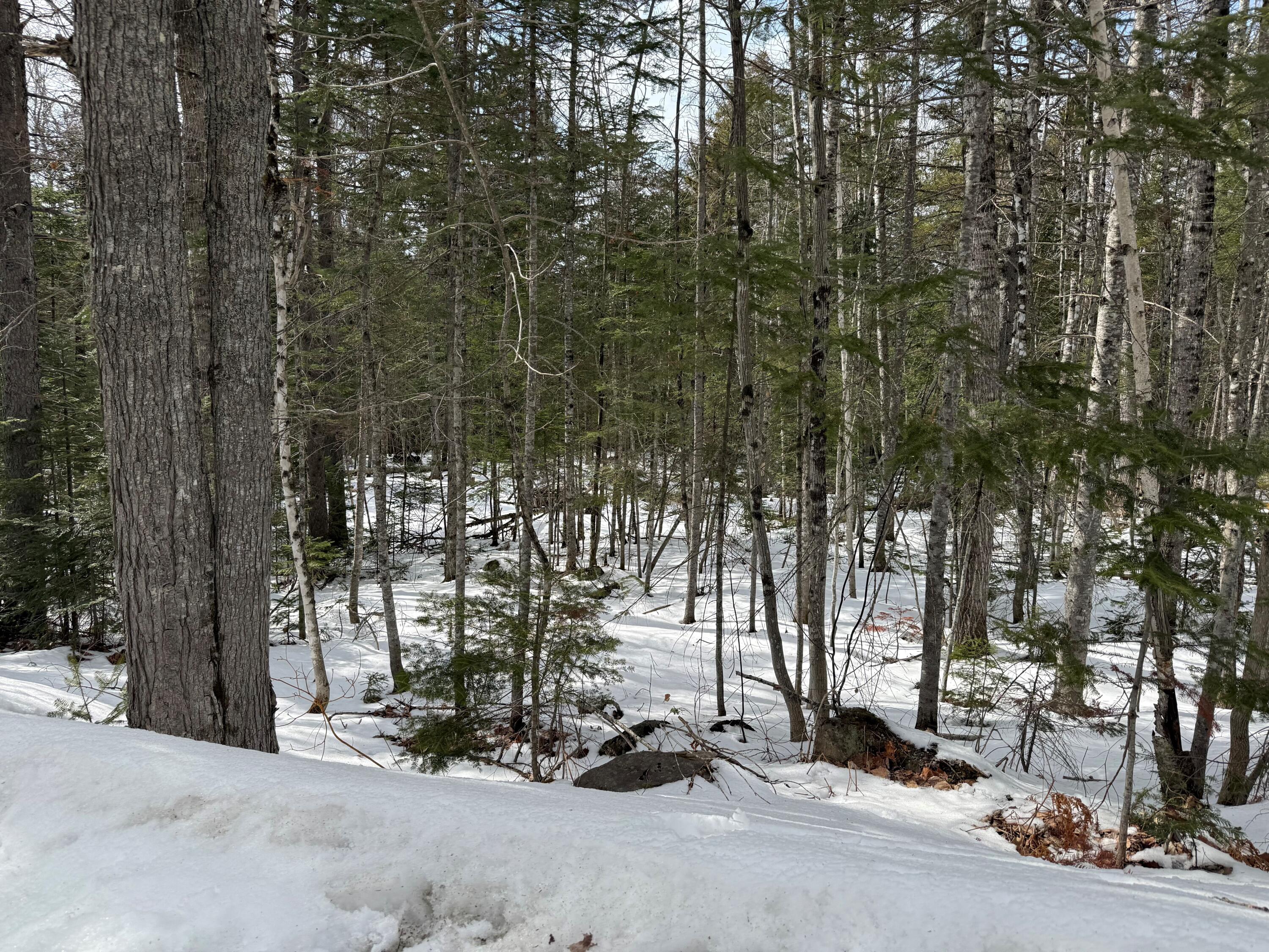 Lot UNIT&nbsp;0 Morgan Bay Road, Surry, ME, 04684