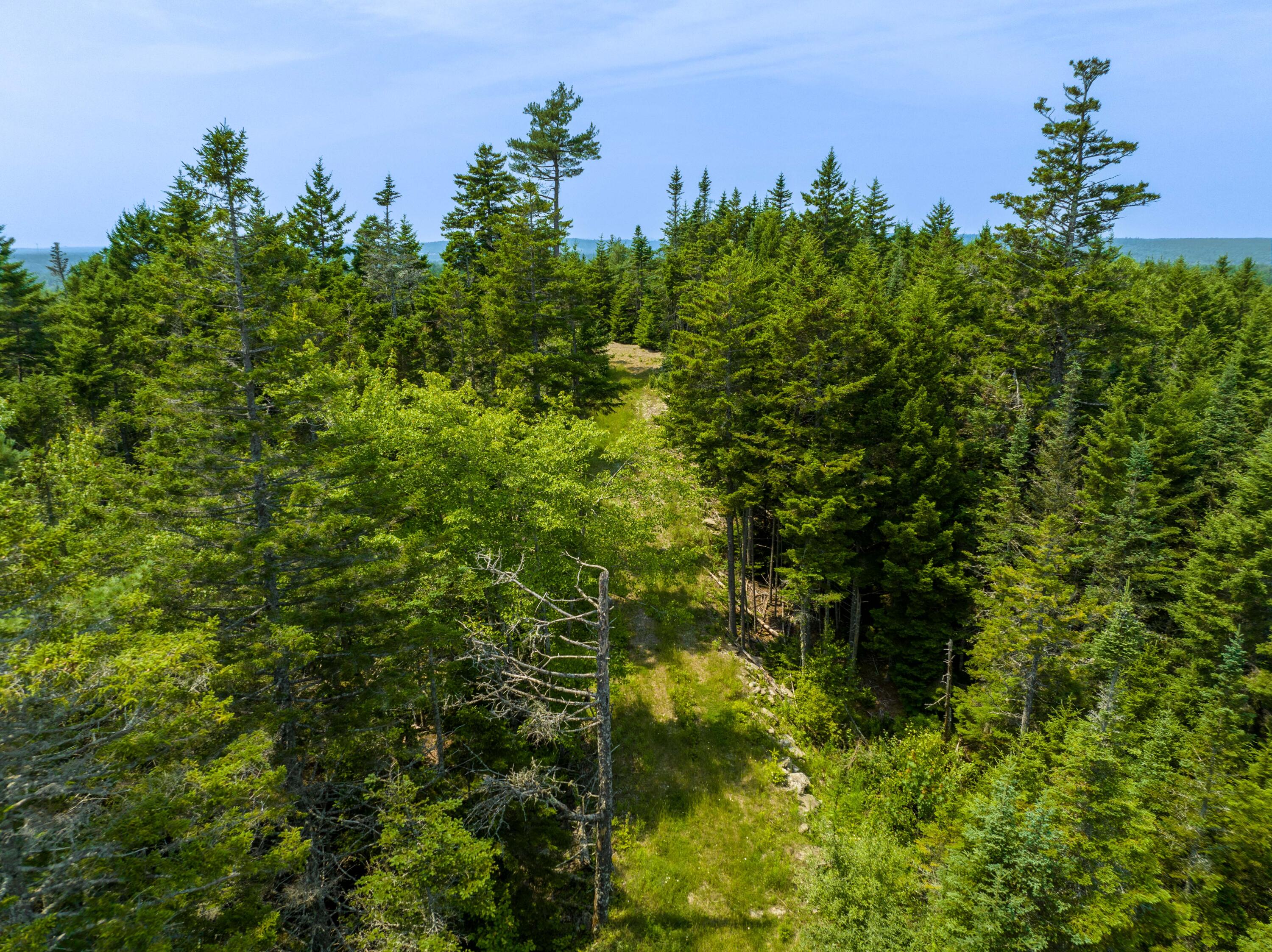 65 Lookout Mountain Road, East Machias, ME, 04630