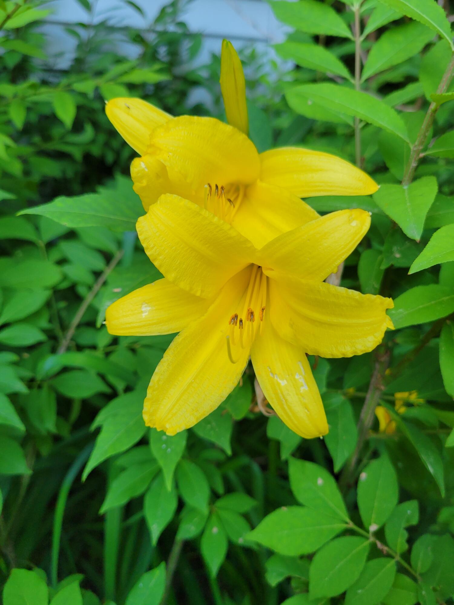 46 N Gorham Road, Gorham, ME, 04038