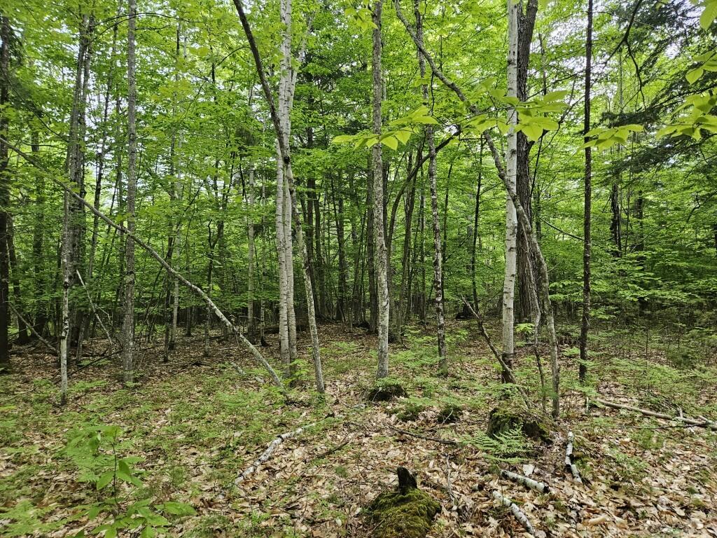 M10L44 Mountain View Road, Fryeburg, ME, 04037