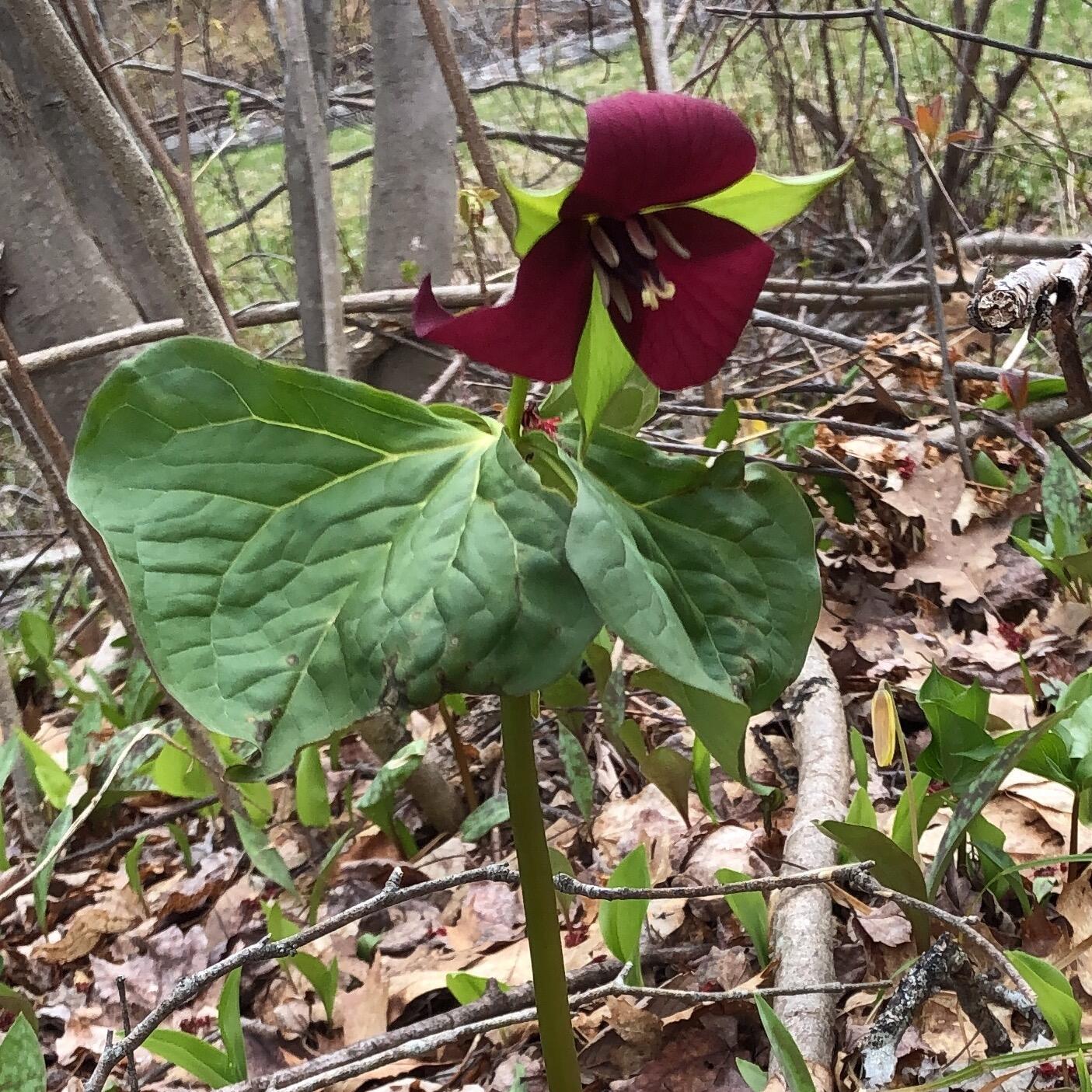 474 N Howland Road, Howland, ME, 04448