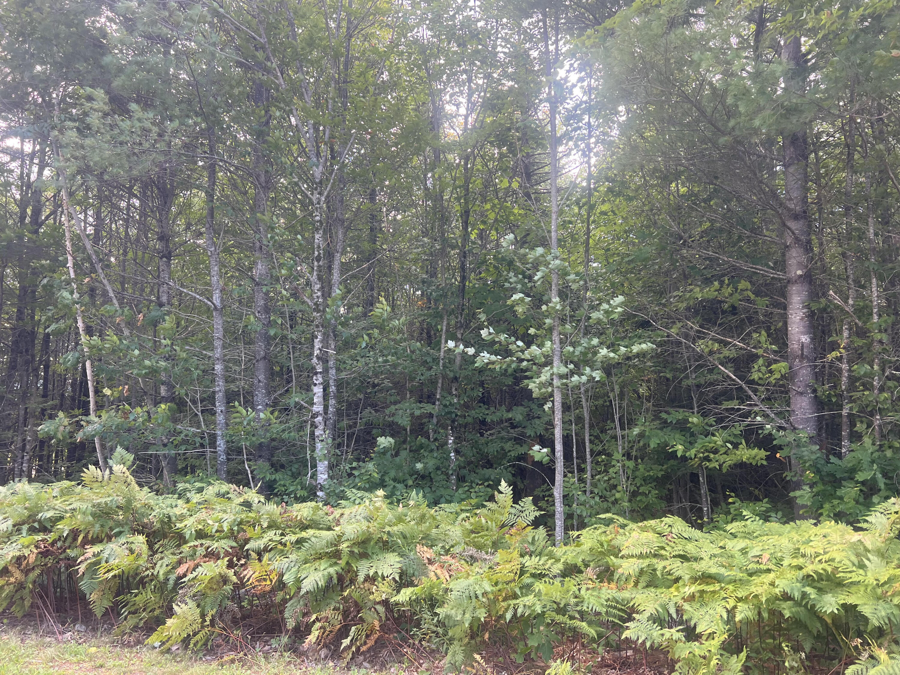 Photo of Lot 6 First Street Bethel ME 04217