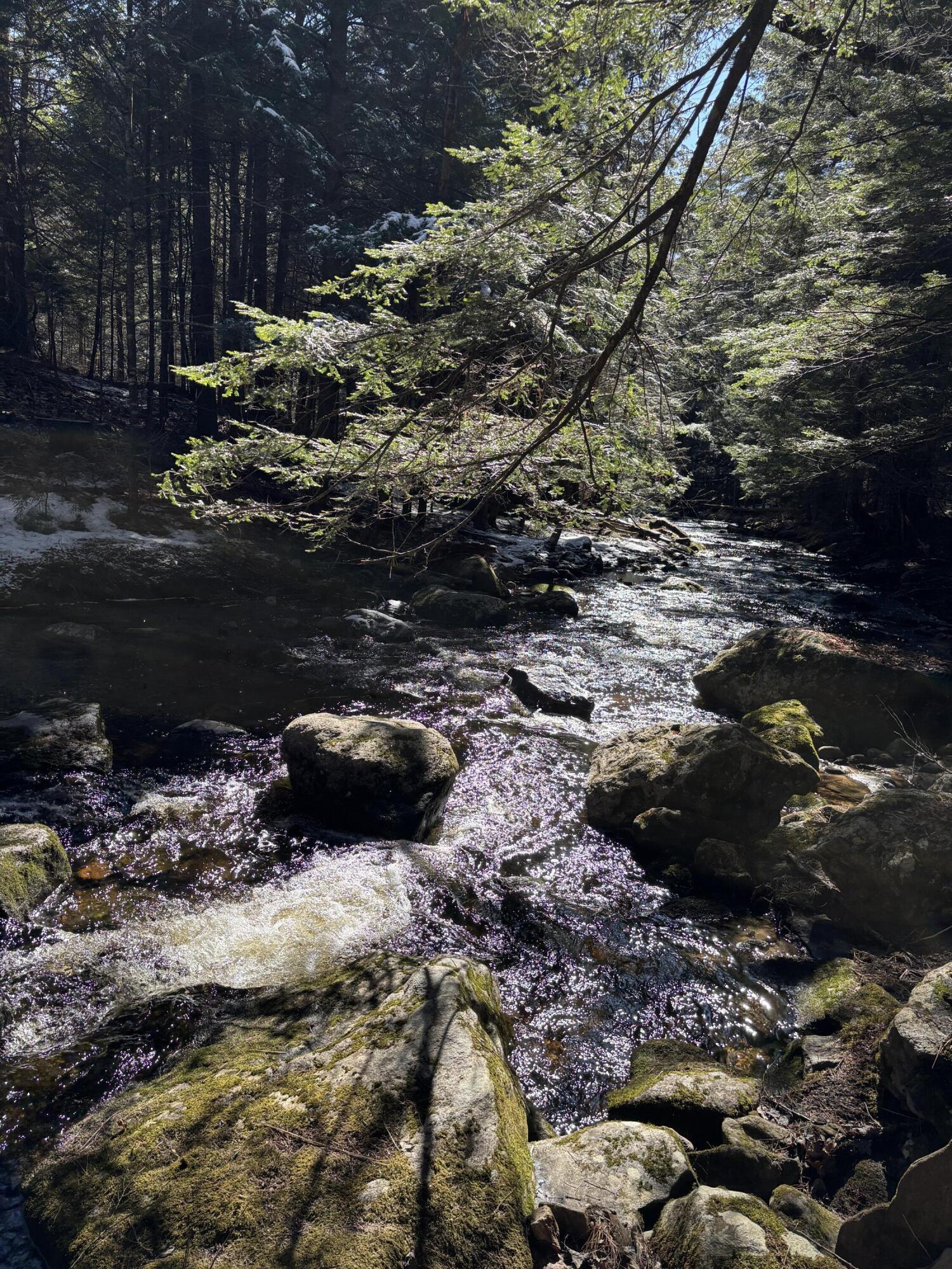 6 Bog Brook Loop, West Paris, ME, 04289