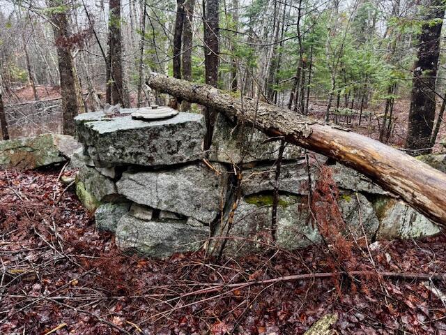 SO 001 Plan 2 Lot 16.1 Long Falls Dam Road, Lexington Twp, ME, 04961