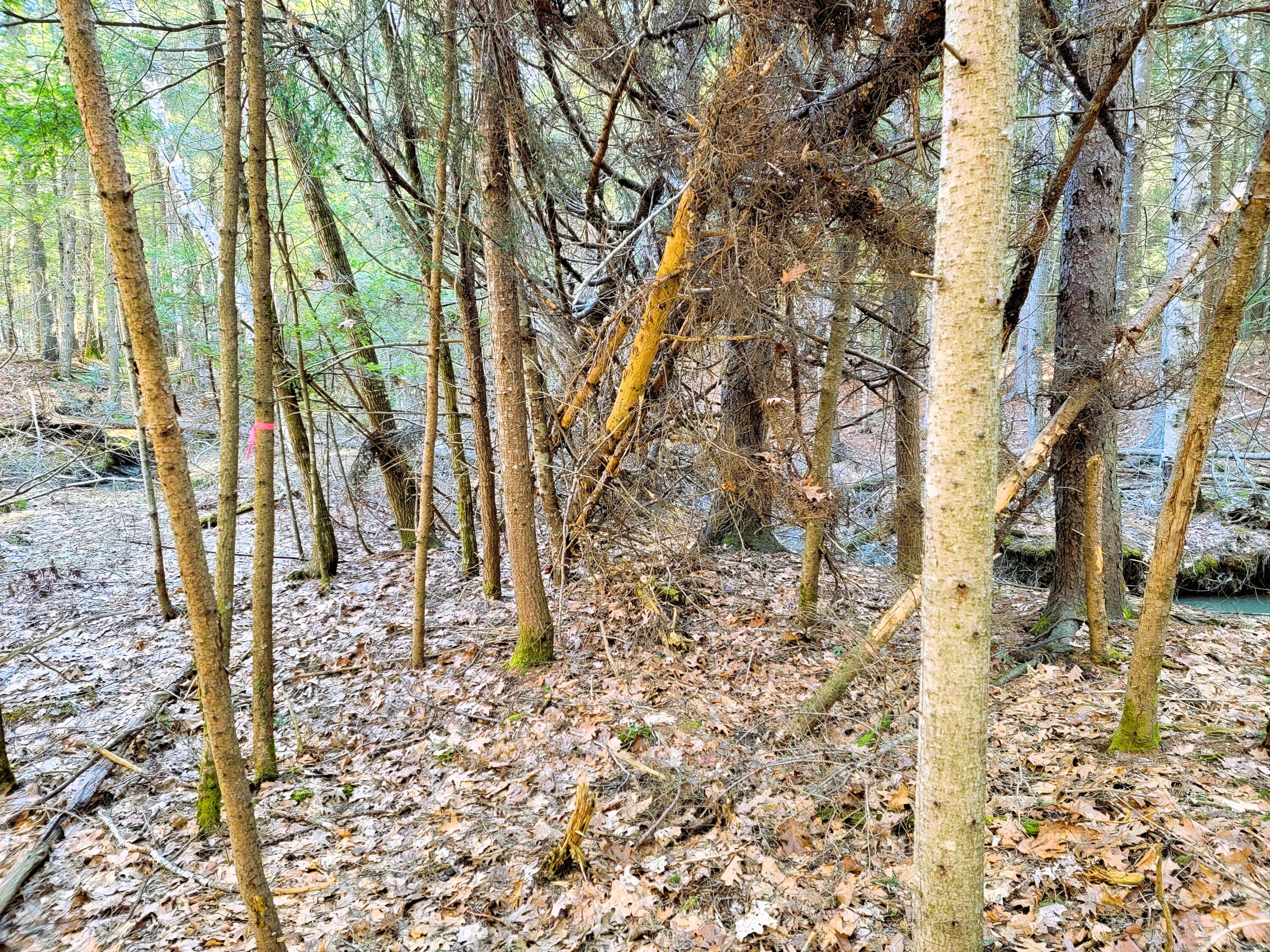 0 Redding Lane, Freeport, ME, 04032