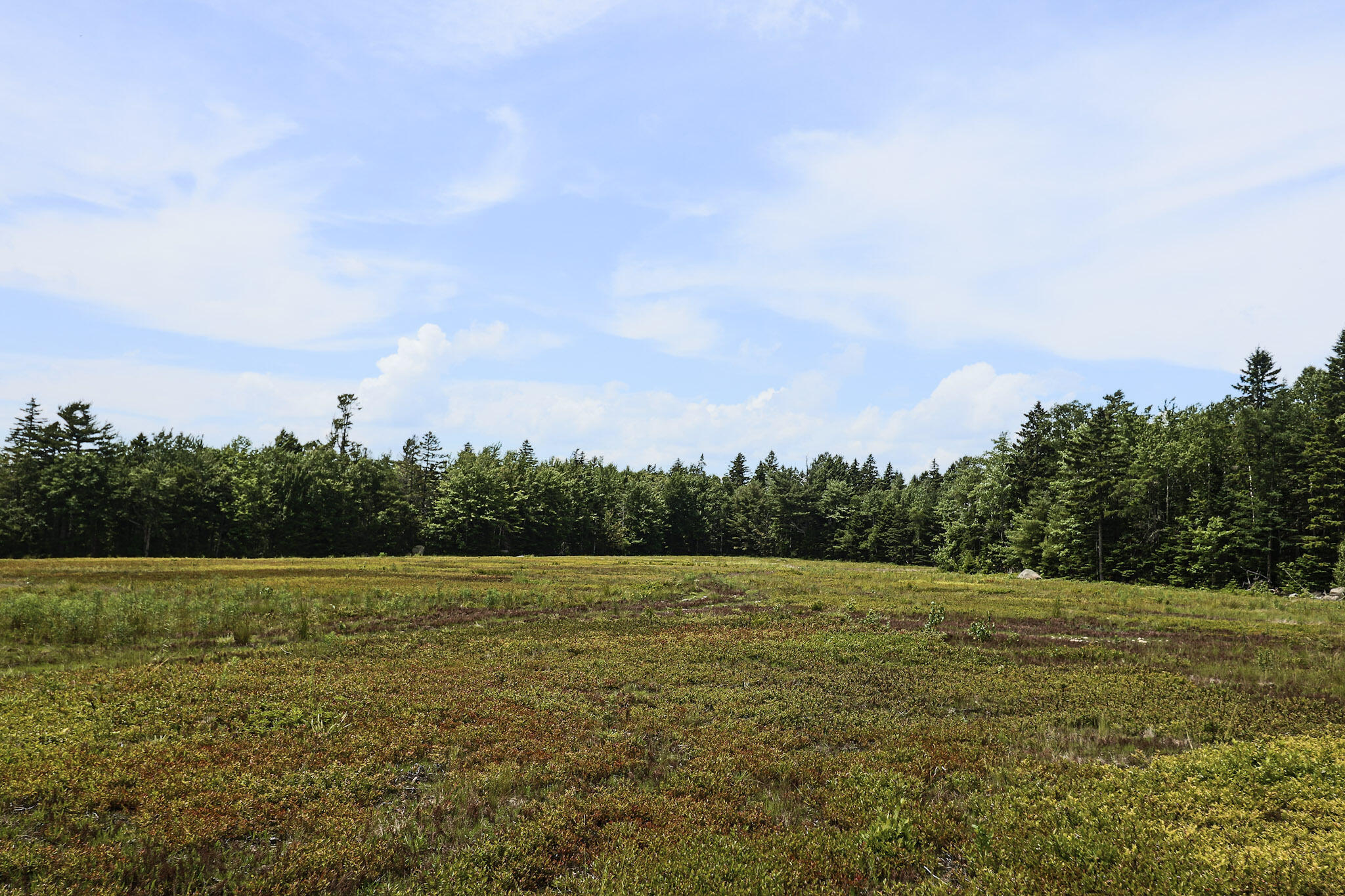 MAP13LOT9 Martins Ridge Road, Franklin, ME, 04634