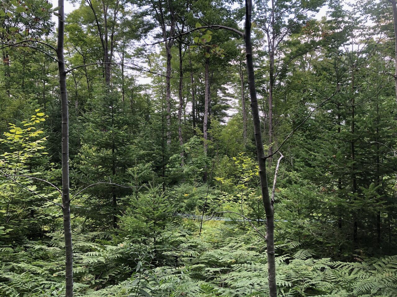 06 Swett Brook Lane, Weld, ME, 04285