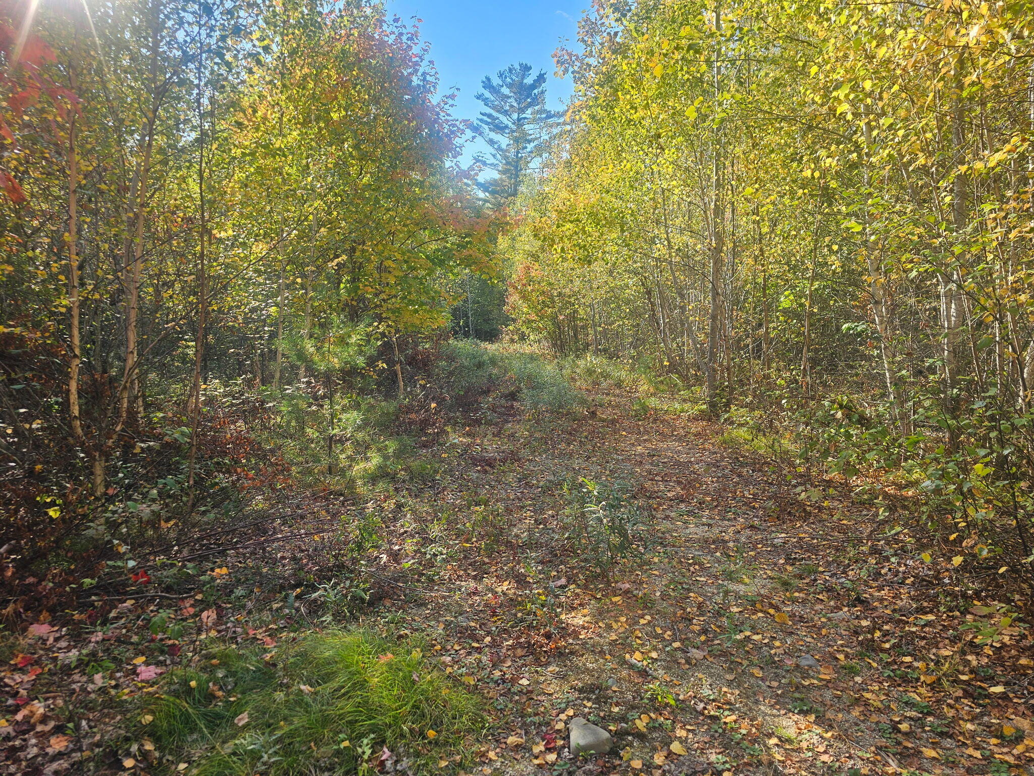 Photo of 154 Lower Road #LOT 35 Deblois ME 04622
