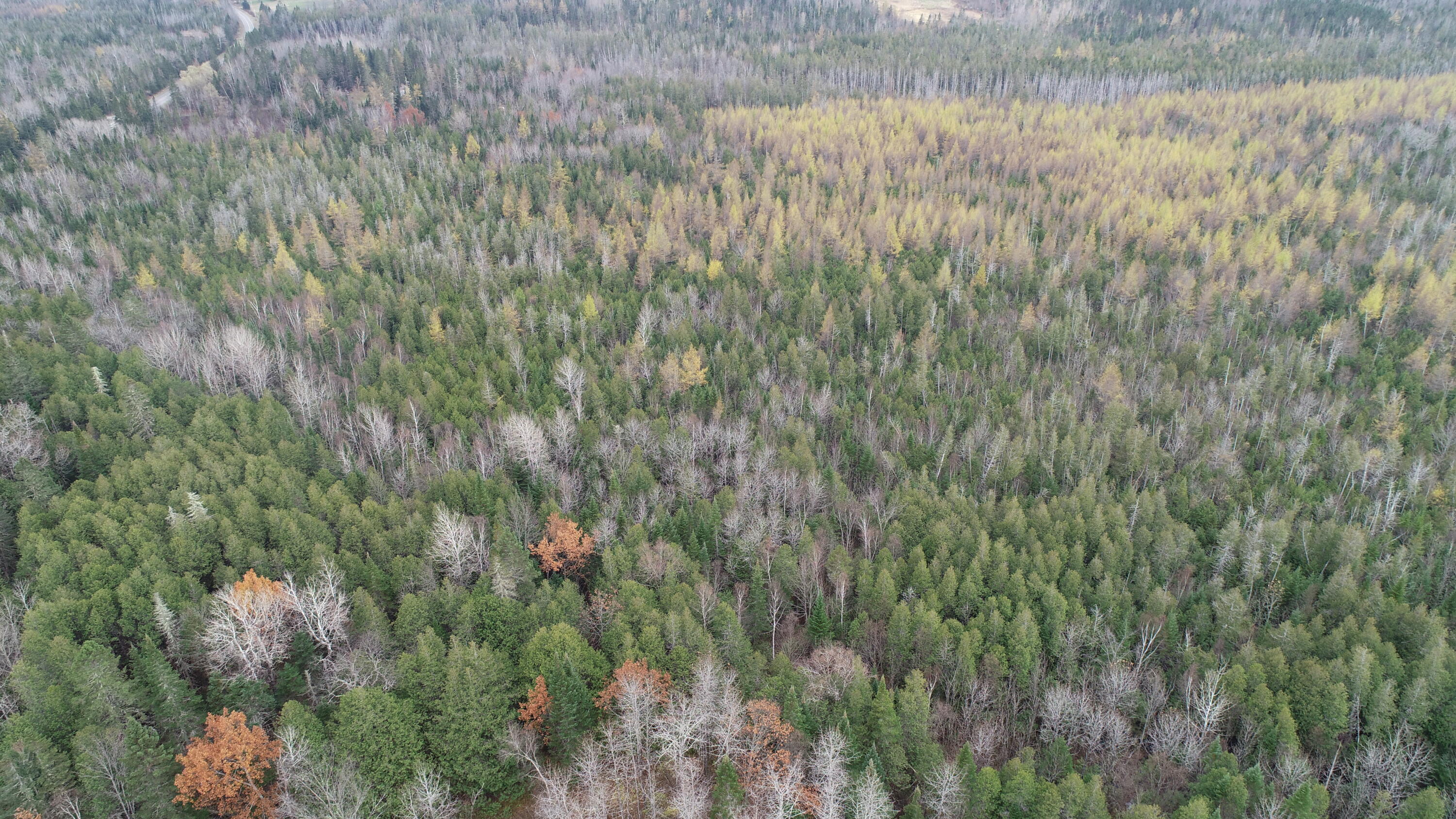 Lot 18 US RT 2 Highway, Sherman, ME, 04776