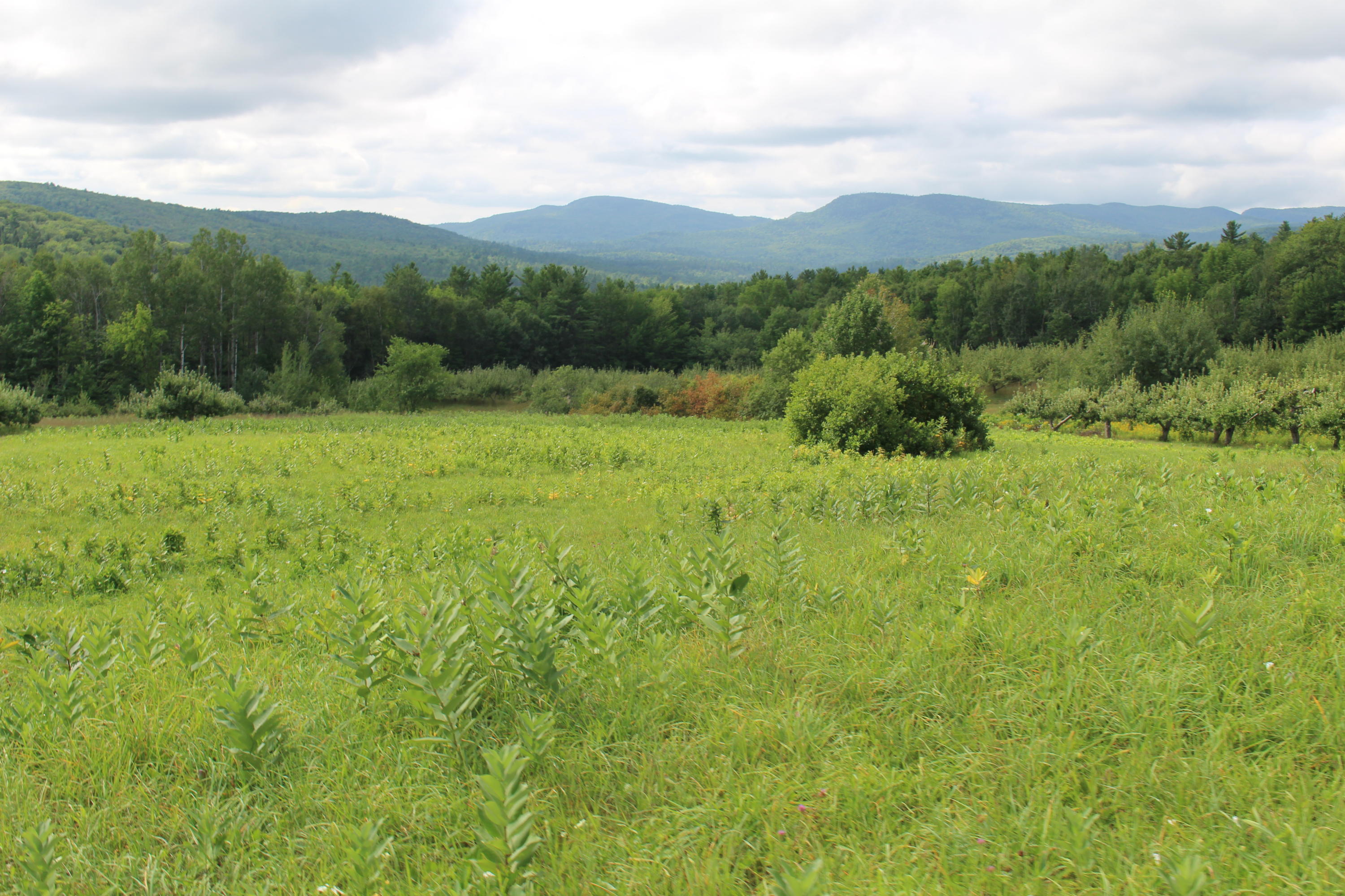 684 Grover Hill Road, Bethel, ME, 04217