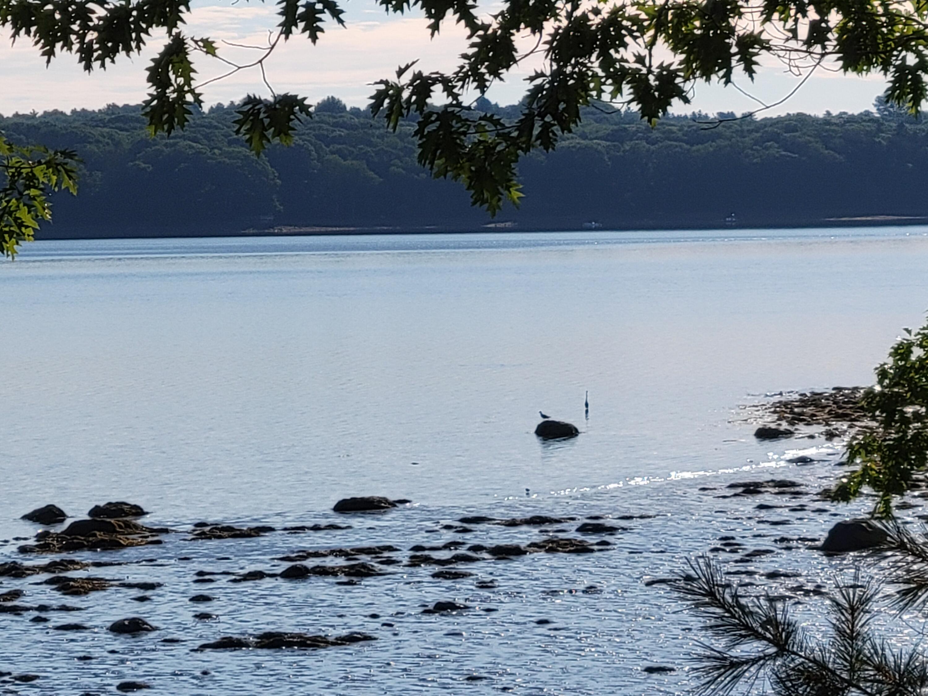 902 Dutch Neck Road, Waldoboro, ME, 04572